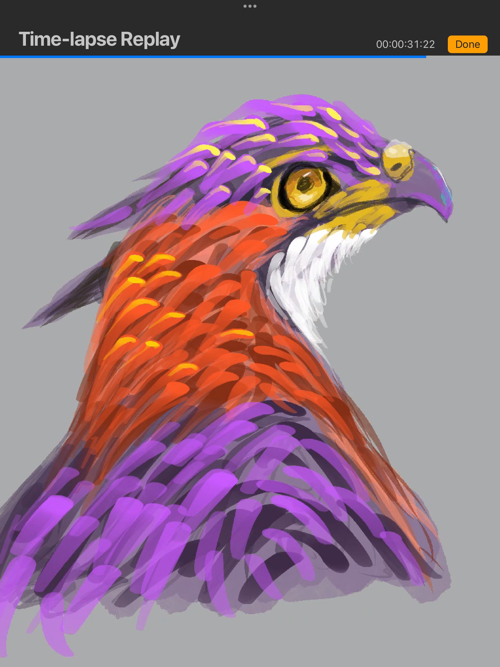 IMG_3406.png