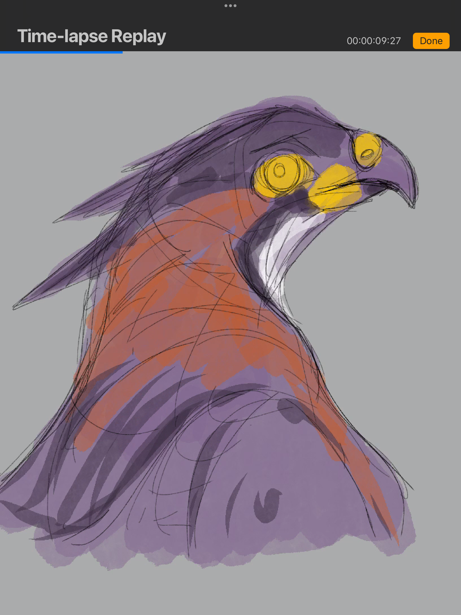 IMG_3402.png
