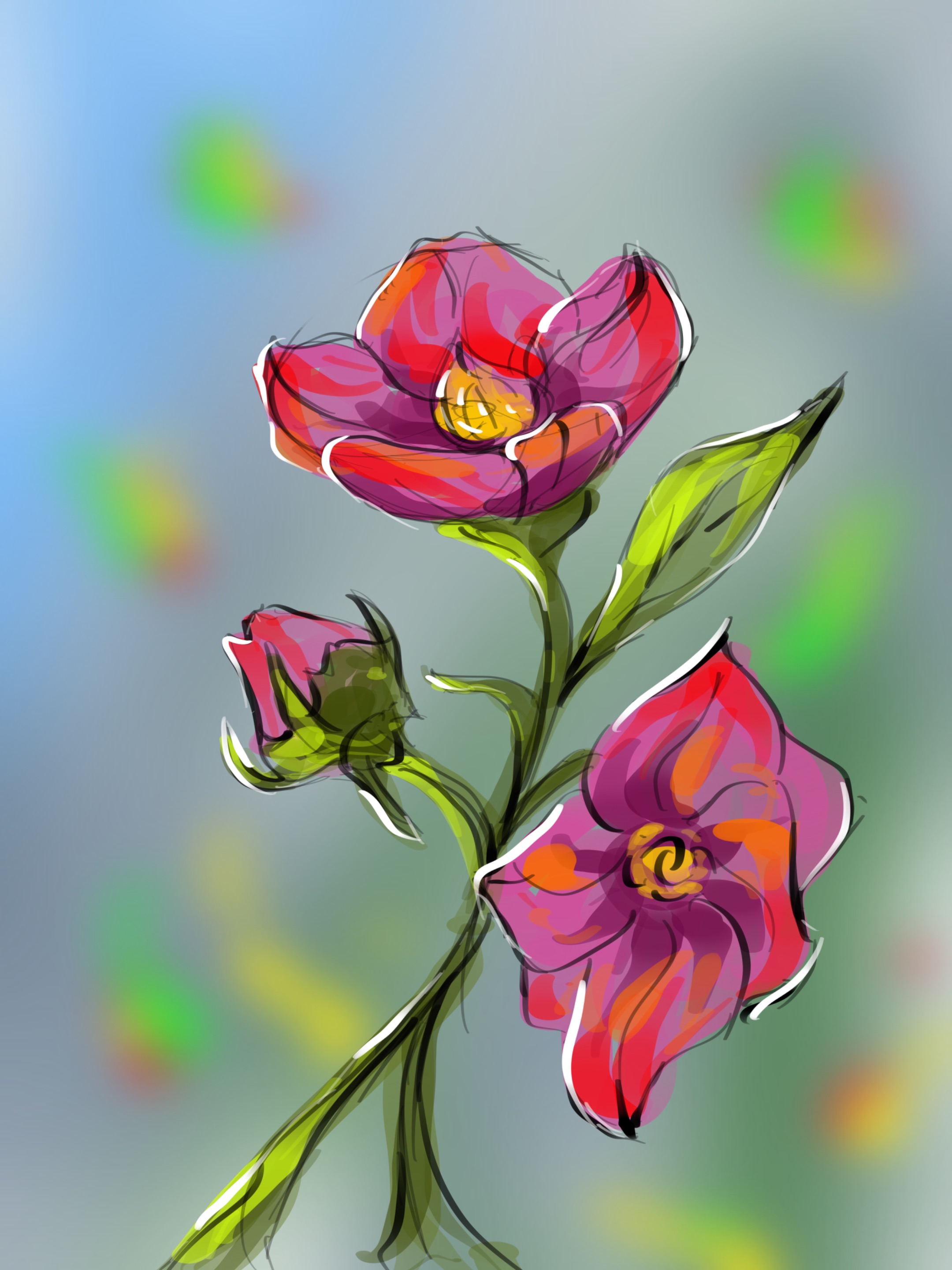 IMG_3388.jpeg