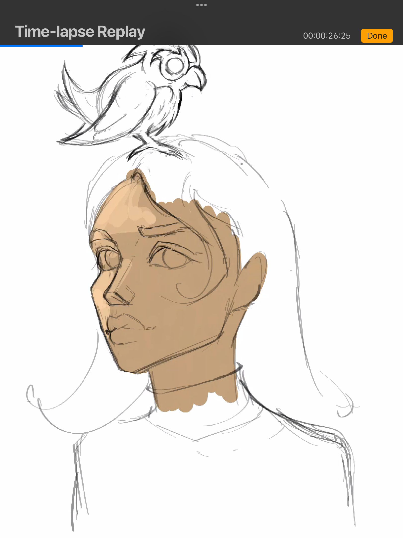 IMG_3629.png