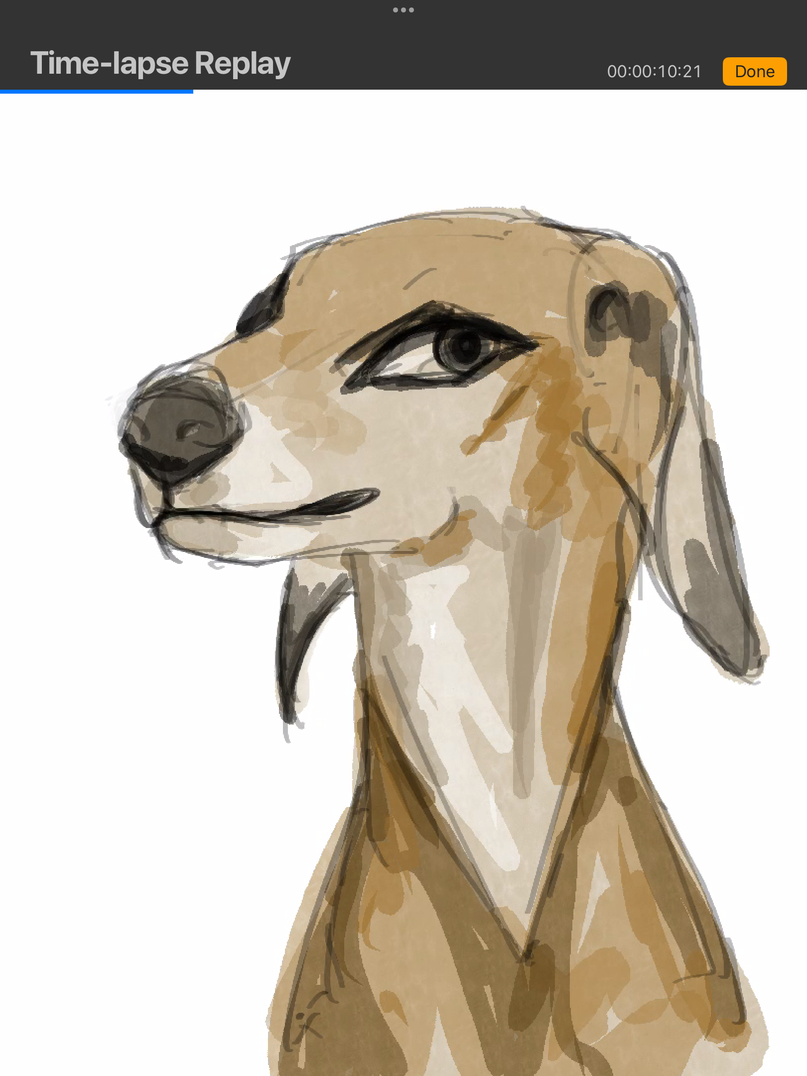 IMG_4007.png