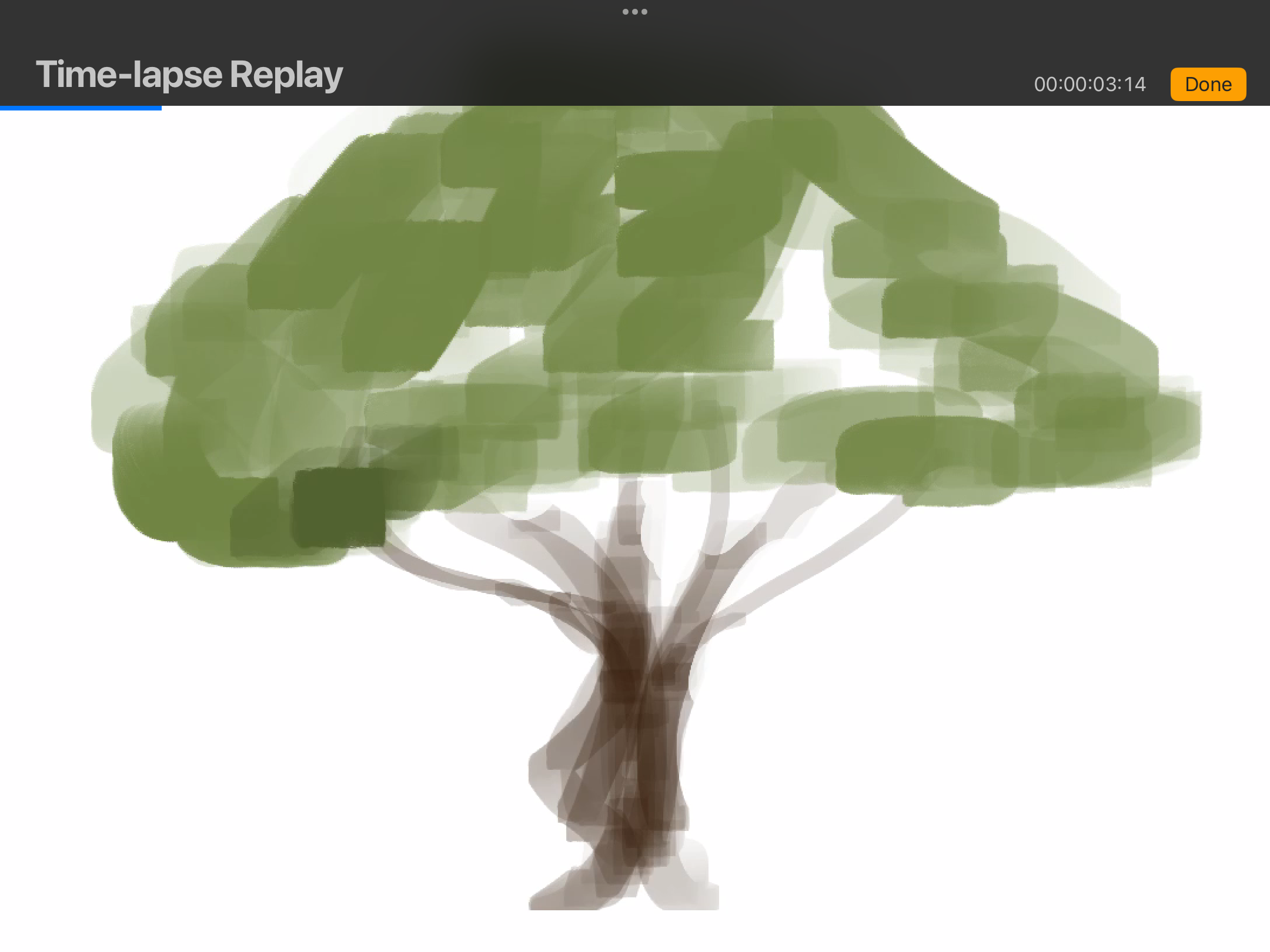 IMG_3972.png