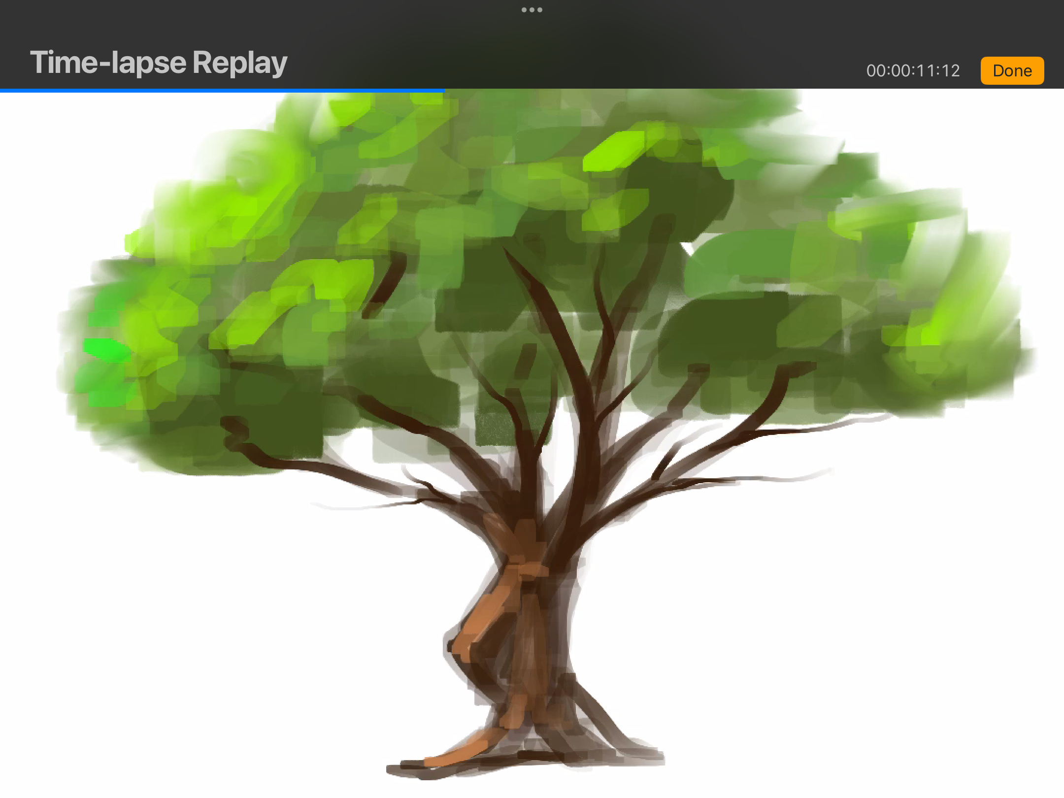 IMG_3974.png