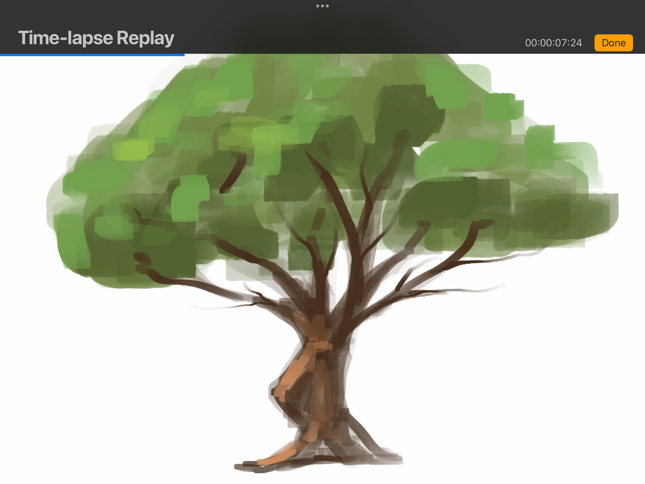 IMG_3973.png