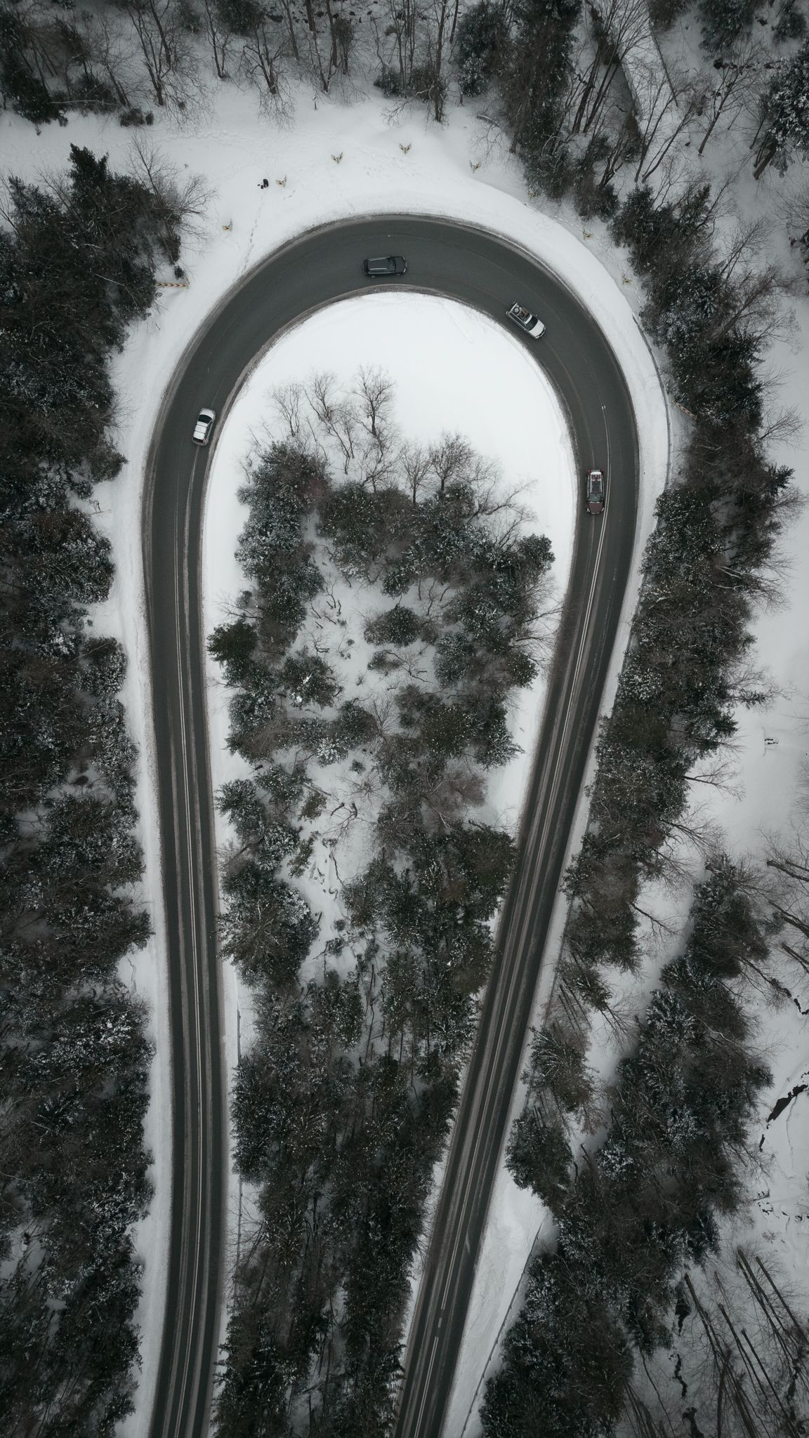 DJI_0685.jpg