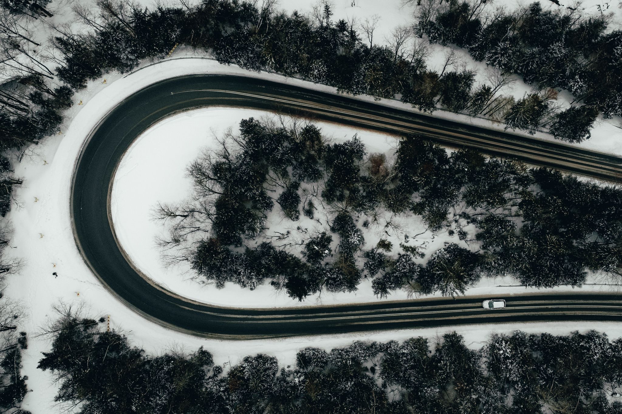 dji_export_1646576705563.jpg