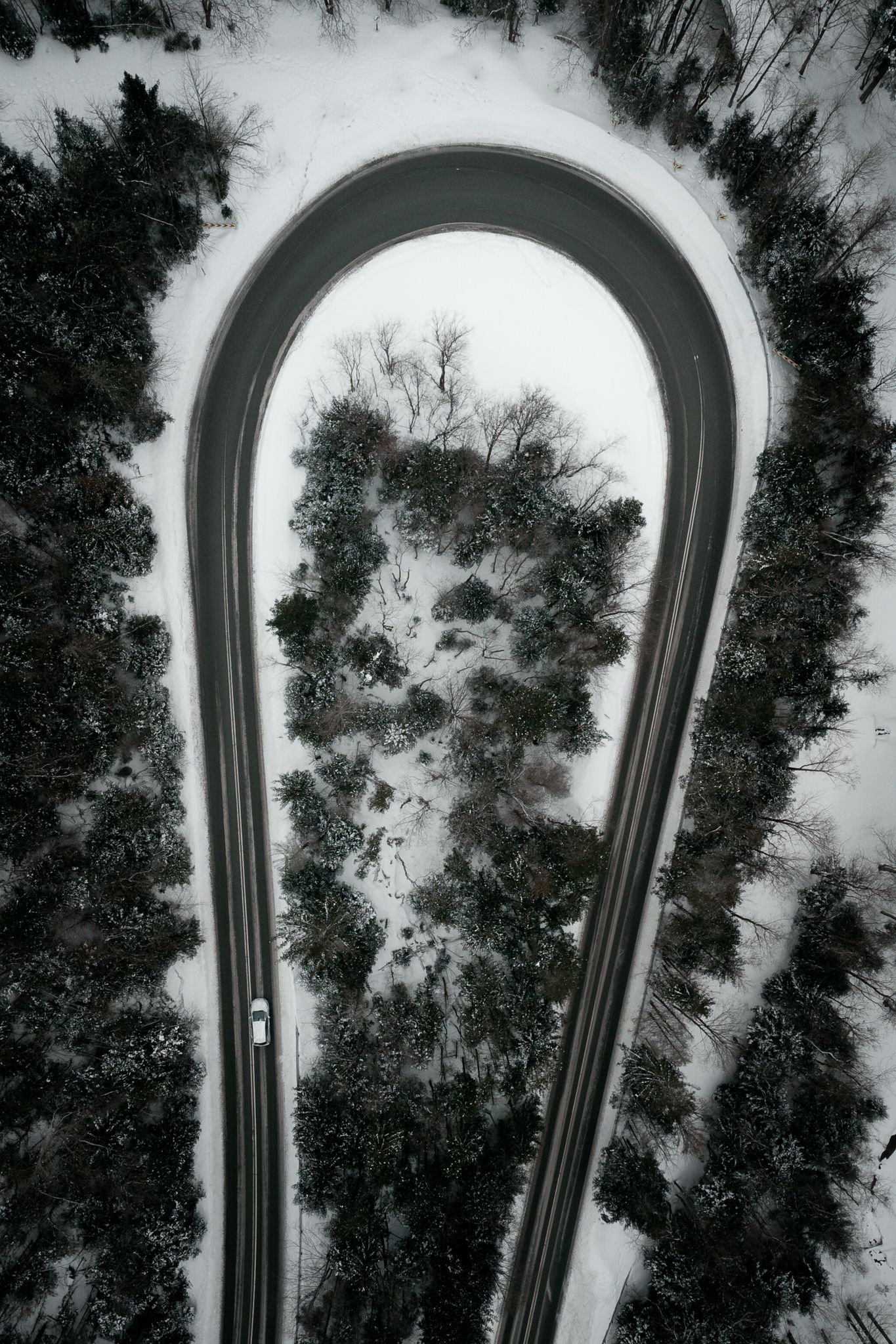 DJI_0678.jpg
