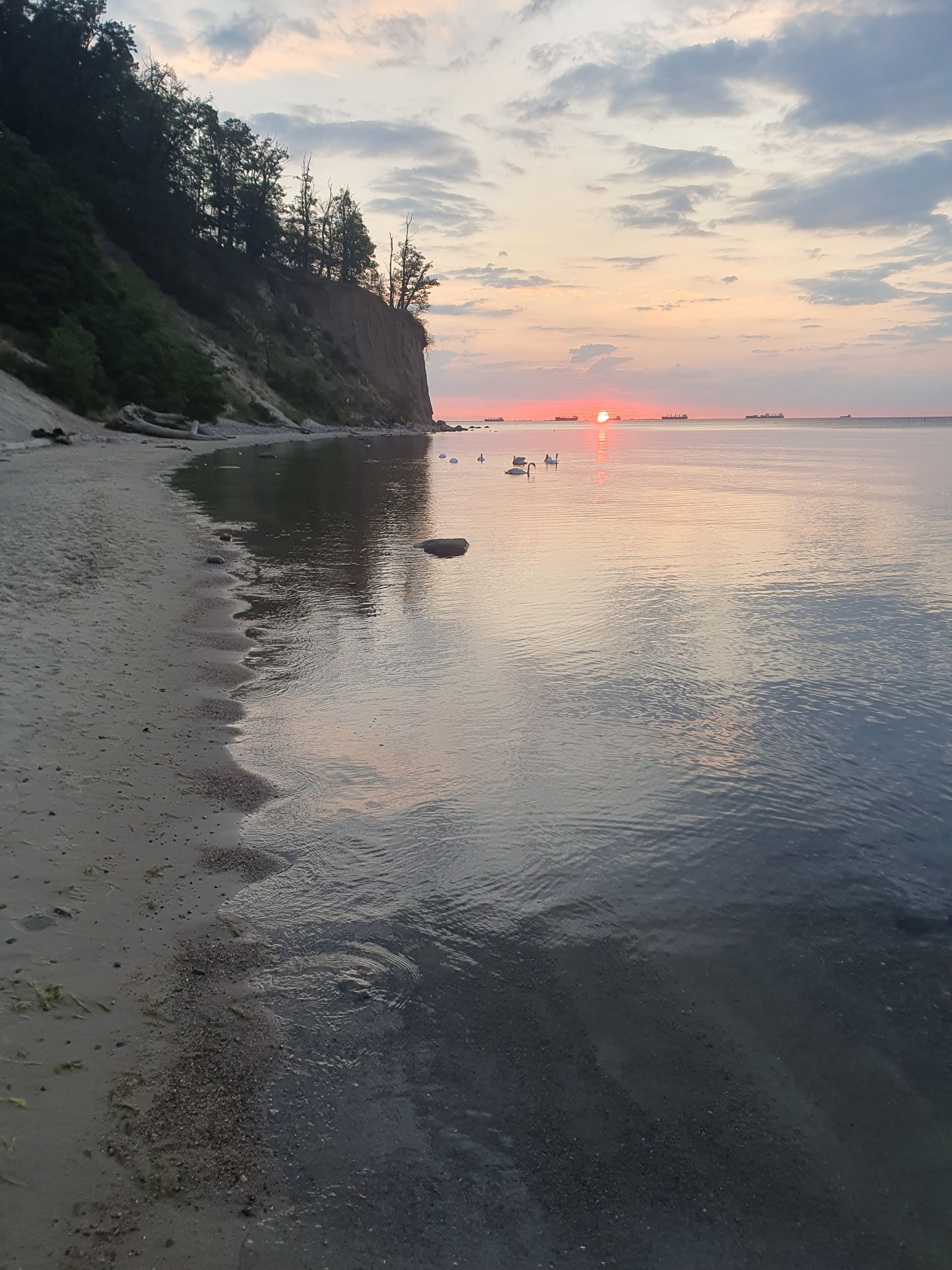 20230708_042505.jpg