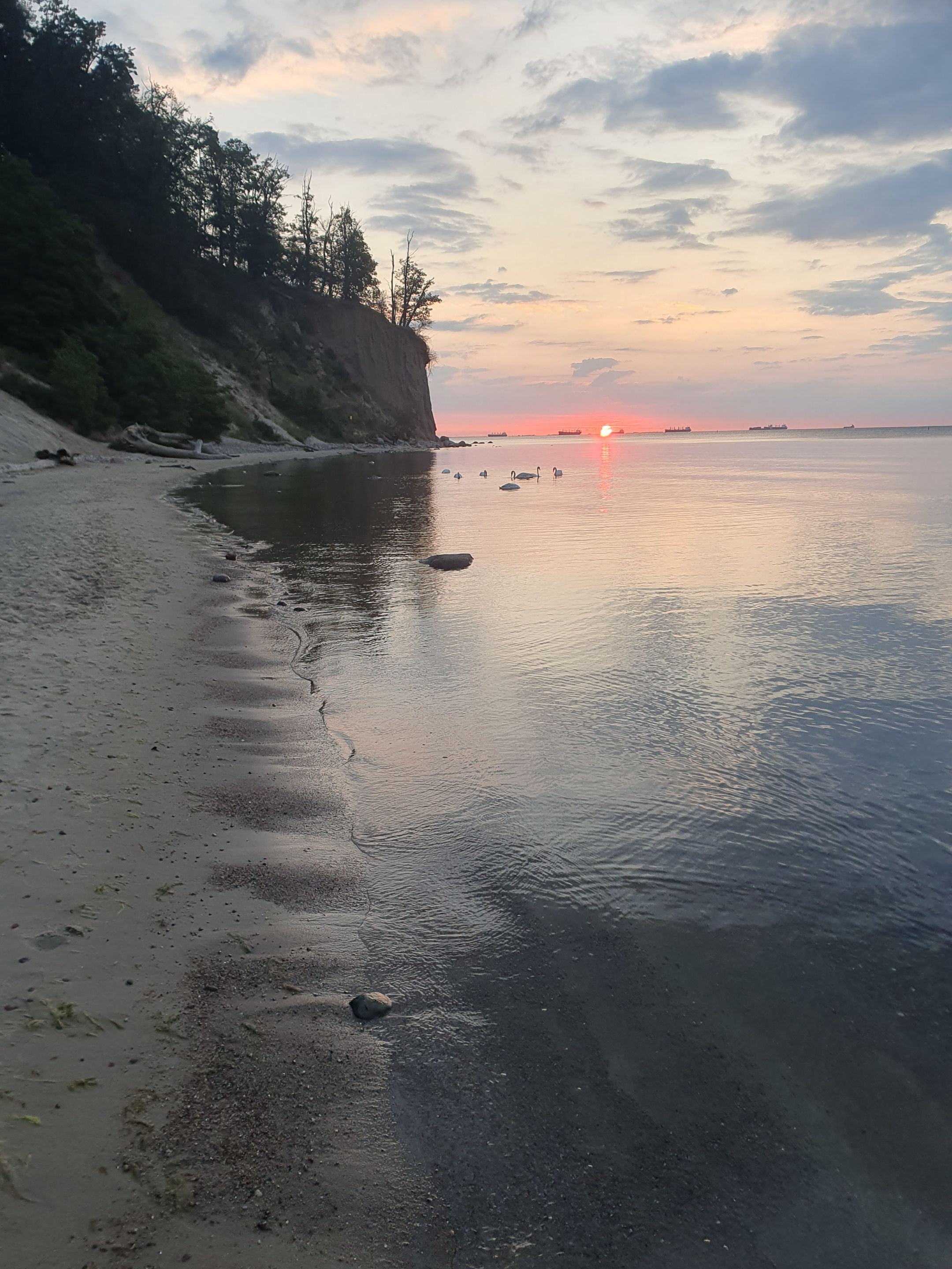 20230708_042503.jpg