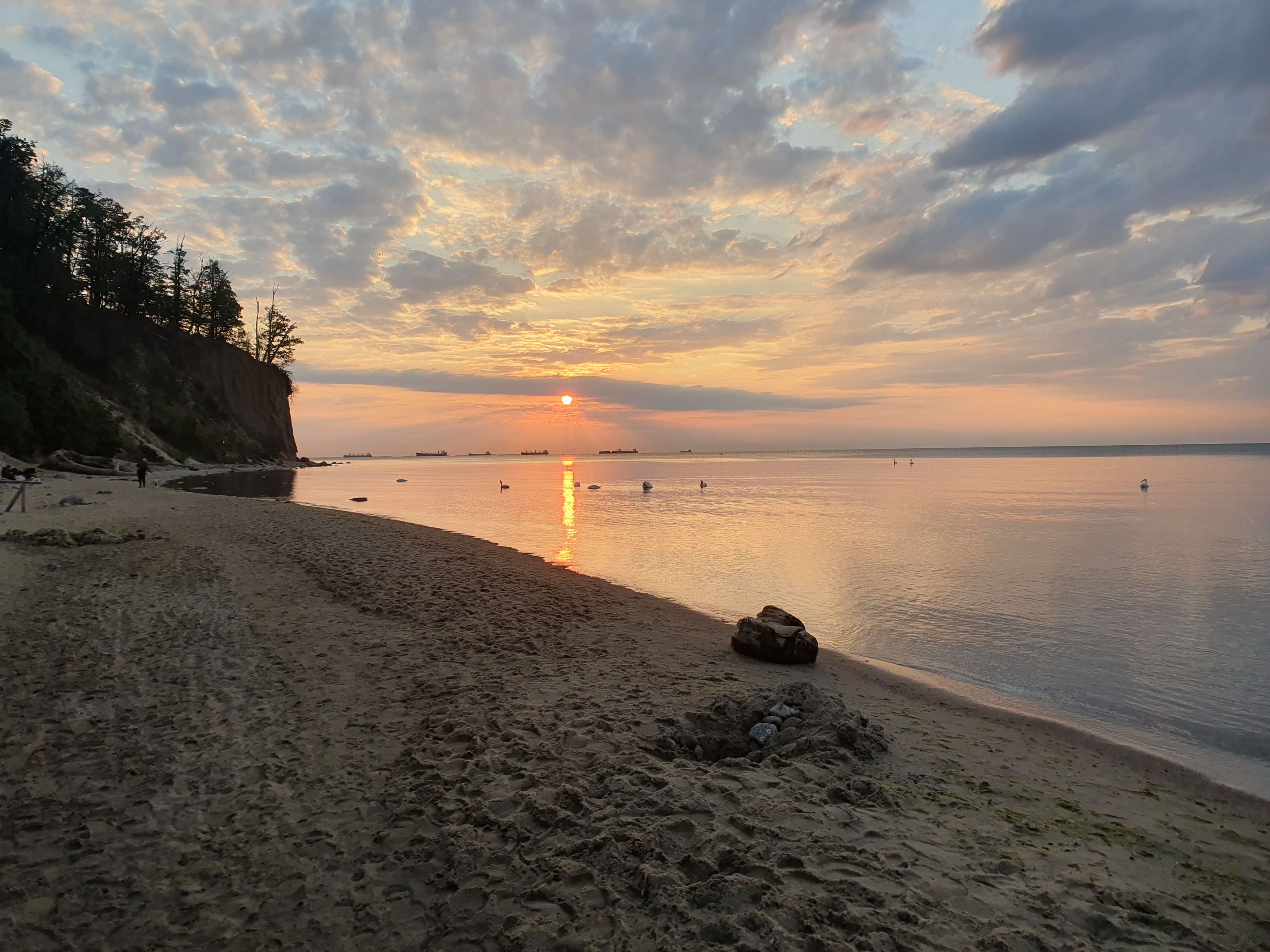 20230708_045416.jpg