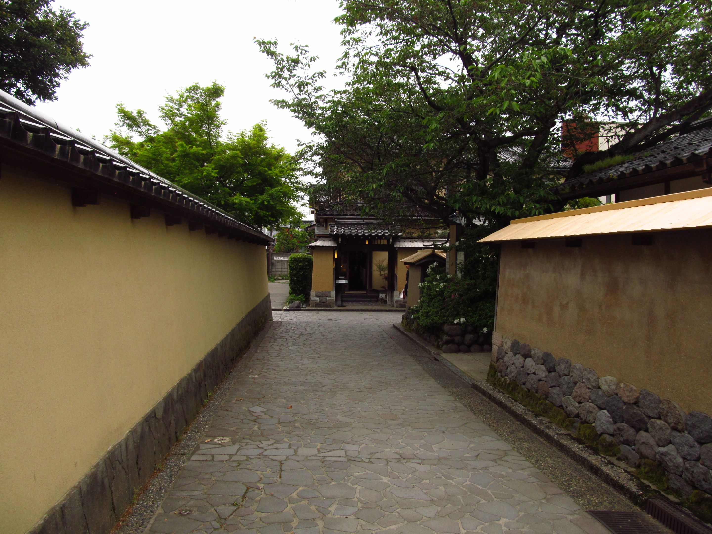 IMG_6678.JPG