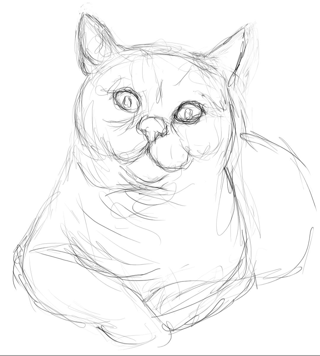 Screenshot_20230912-130224_Autodesk SketchBook.jpg