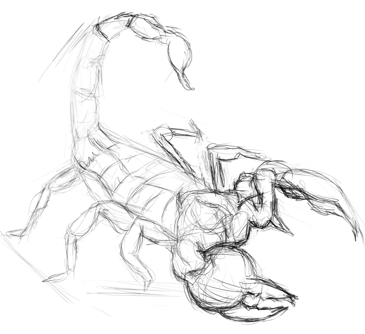 Screenshot_20230316-163135_Autodesk SketchBook.jpg