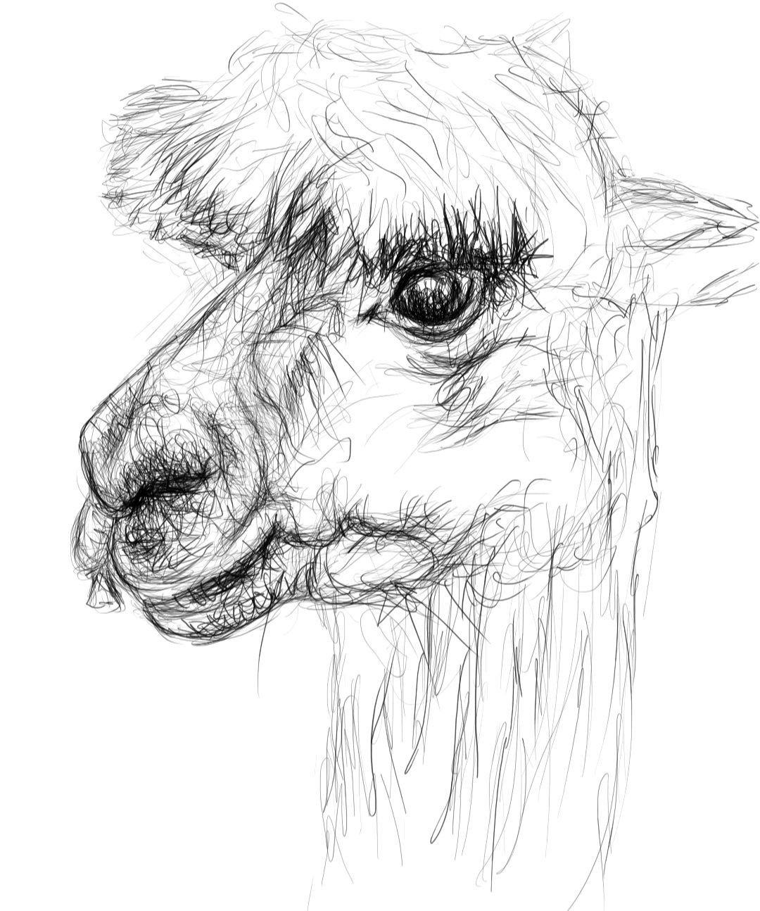 Screenshot_20230707-162923_Autodesk SketchBook.jpg