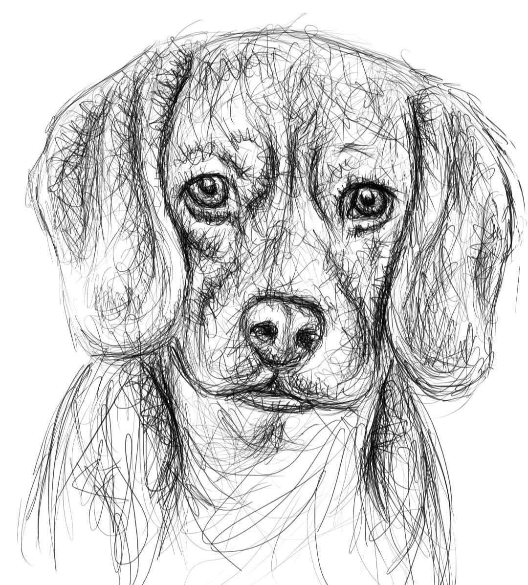 Screenshot_20230812-172025_Autodesk SketchBook.jpg