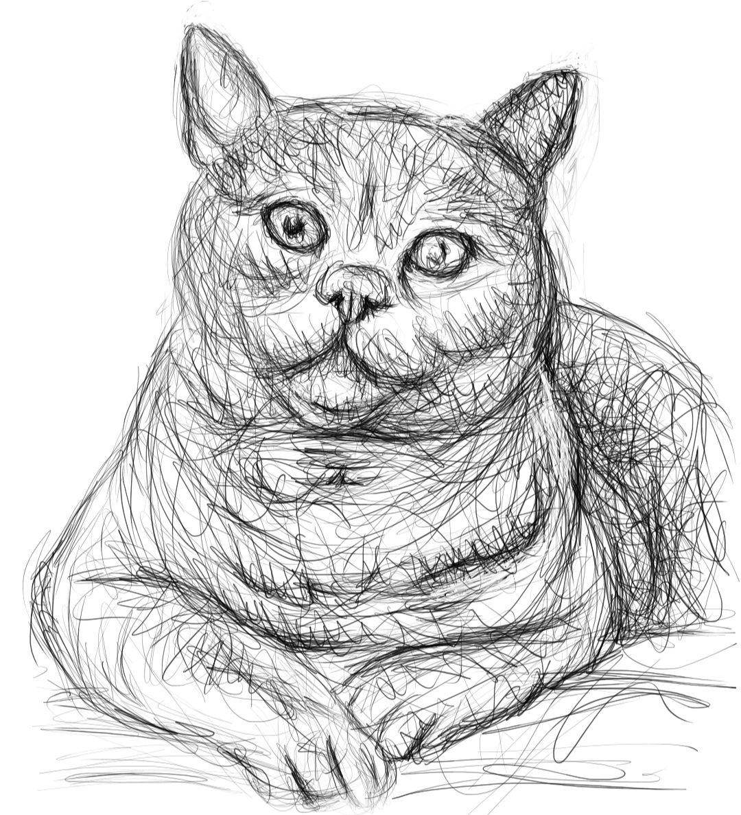 Screenshot_20230912-131913_Autodesk SketchBook.jpg