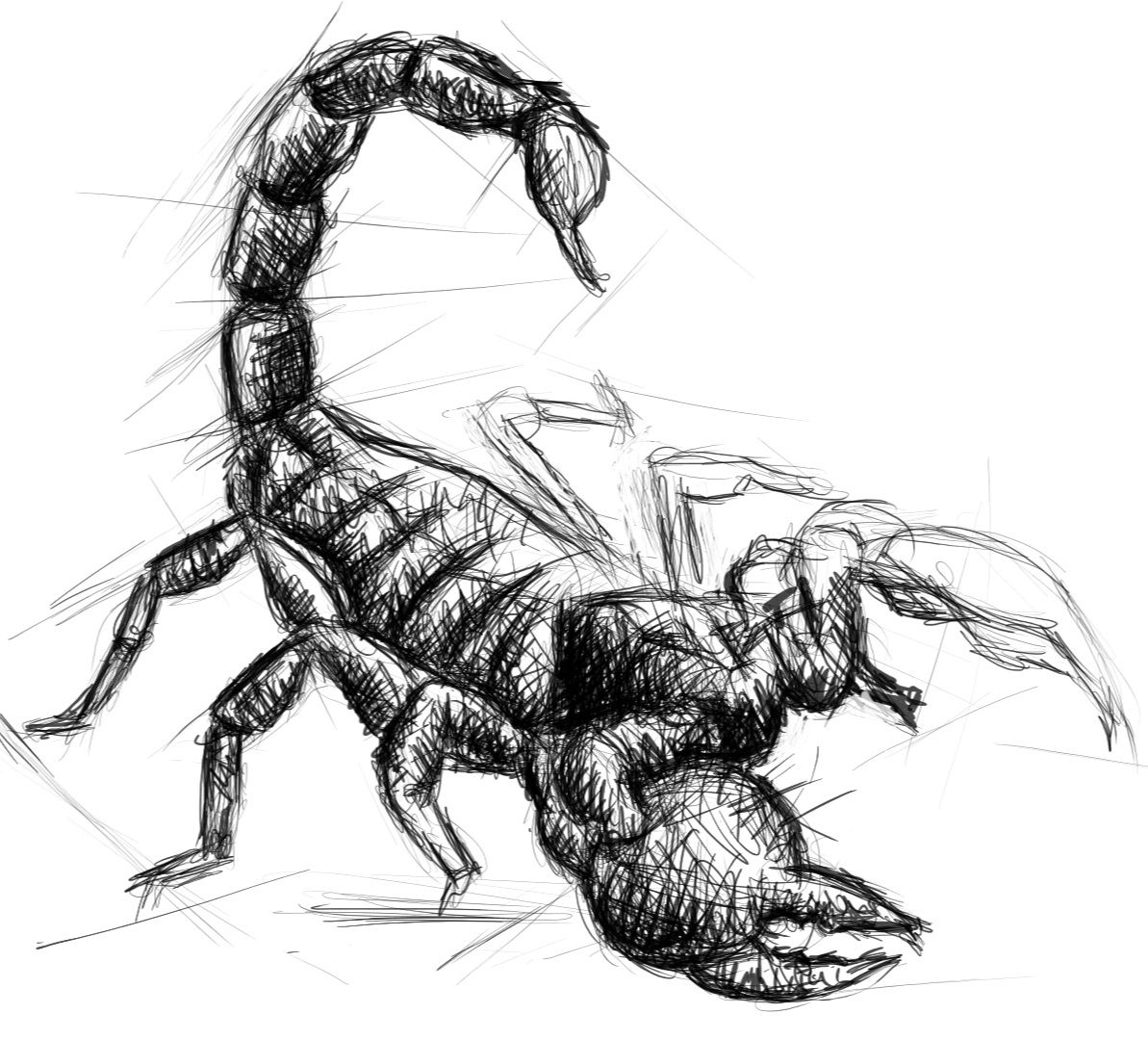 Screenshot_20230316-165059_Autodesk SketchBook.jpg