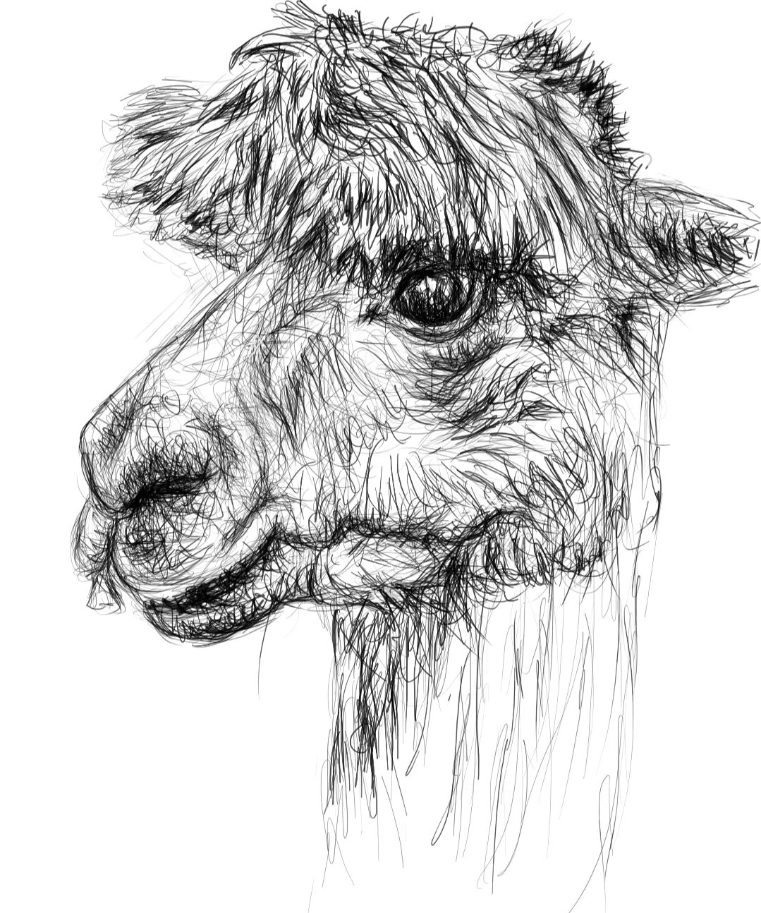 Screenshot_20230707-170401_Autodesk SketchBook.jpg