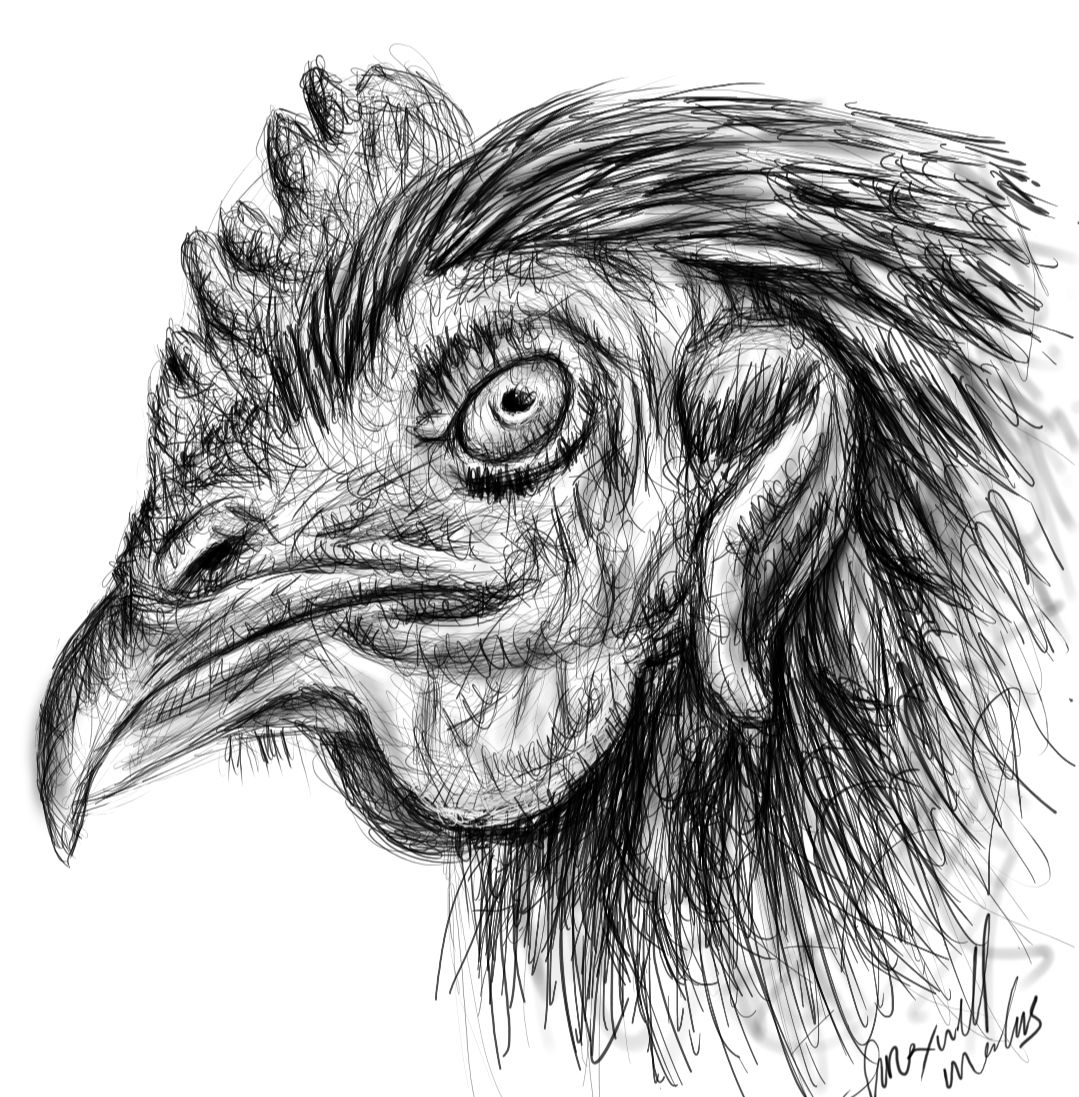 Screenshot_20230107-162436_Autodesk SketchBook.jpg