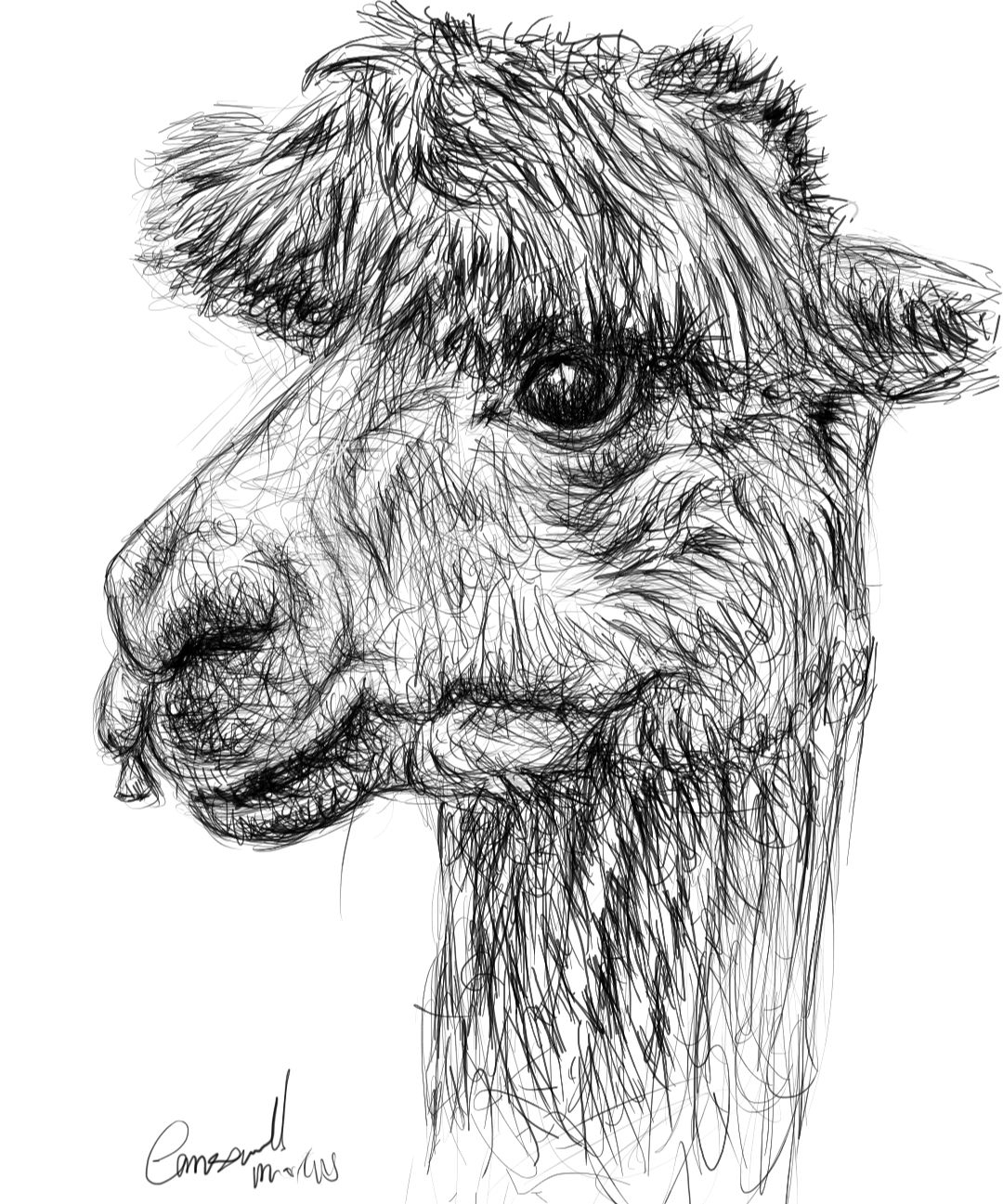 Screenshot_20230707-171239_Autodesk SketchBook.jpg