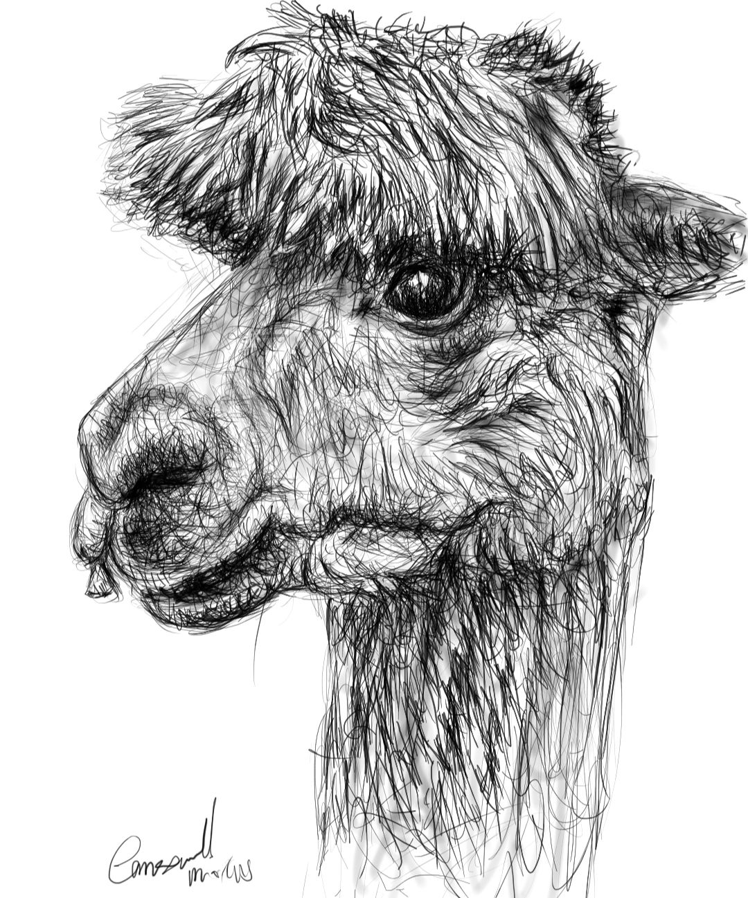 Screenshot_20230707-171655_Autodesk SketchBook.jpg