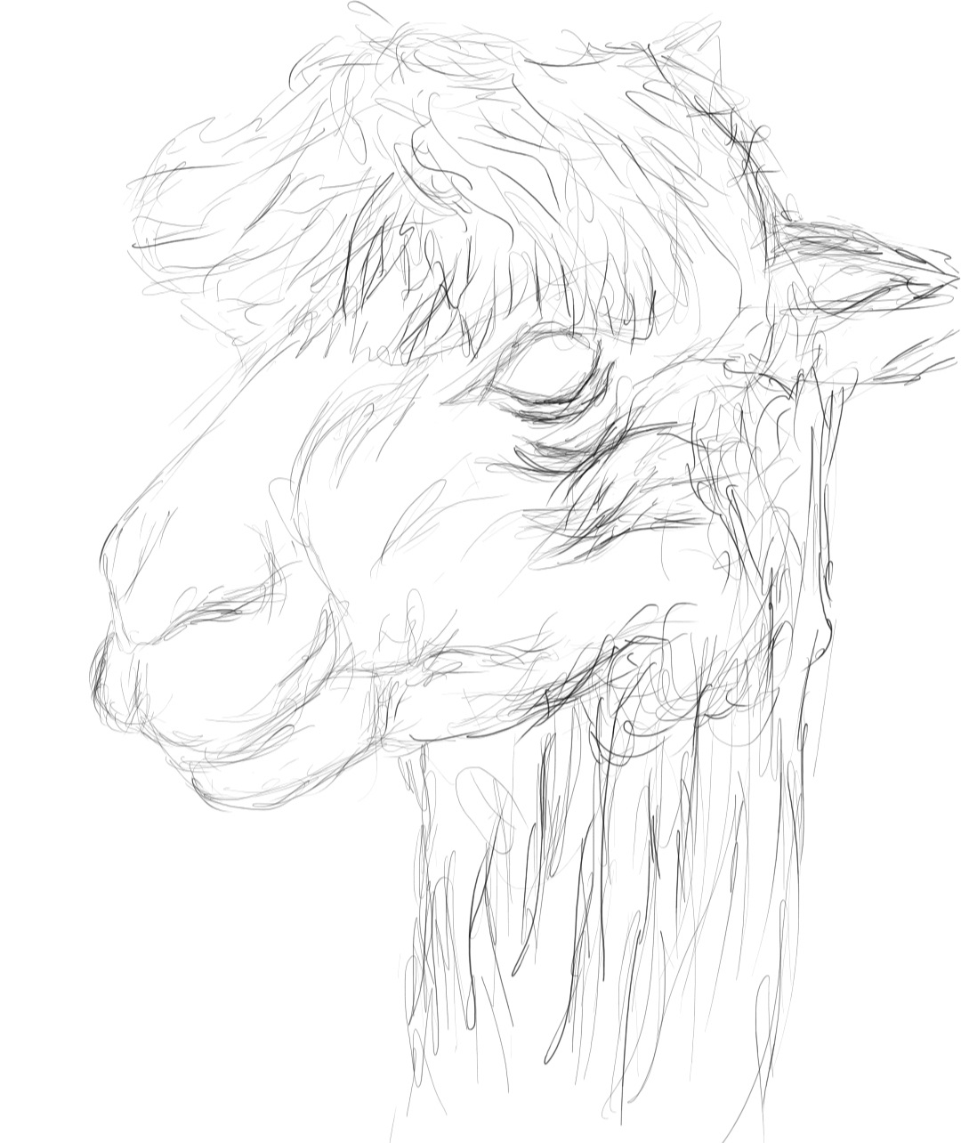 Screenshot_20230707-161854_Autodesk SketchBook.jpg
