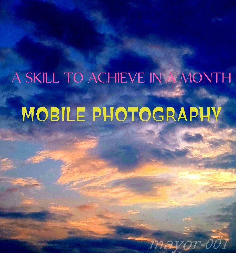 A SKILL TO ACHIEVE IN A MONTH (MOBILE PHOTOGRAPHY)