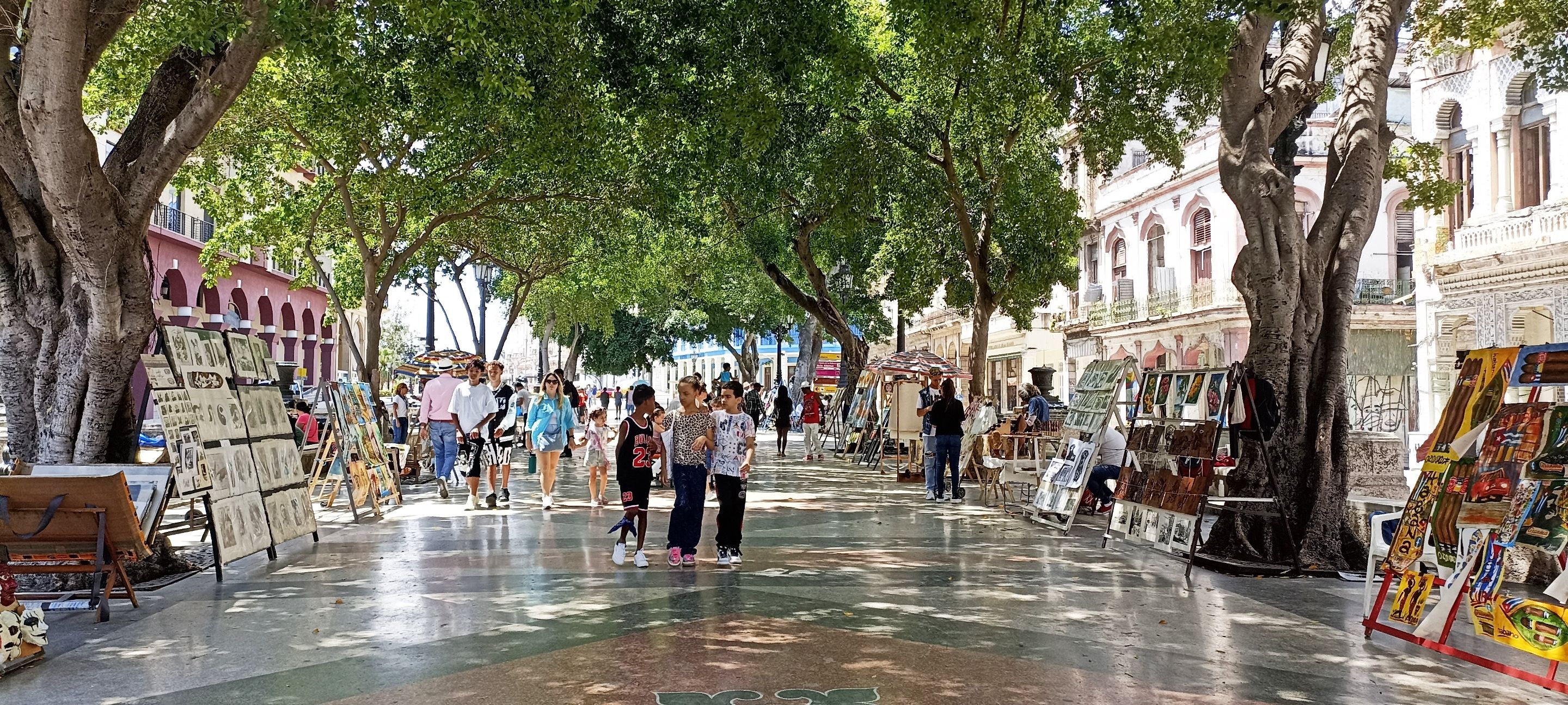 5 niños paseando.jpg