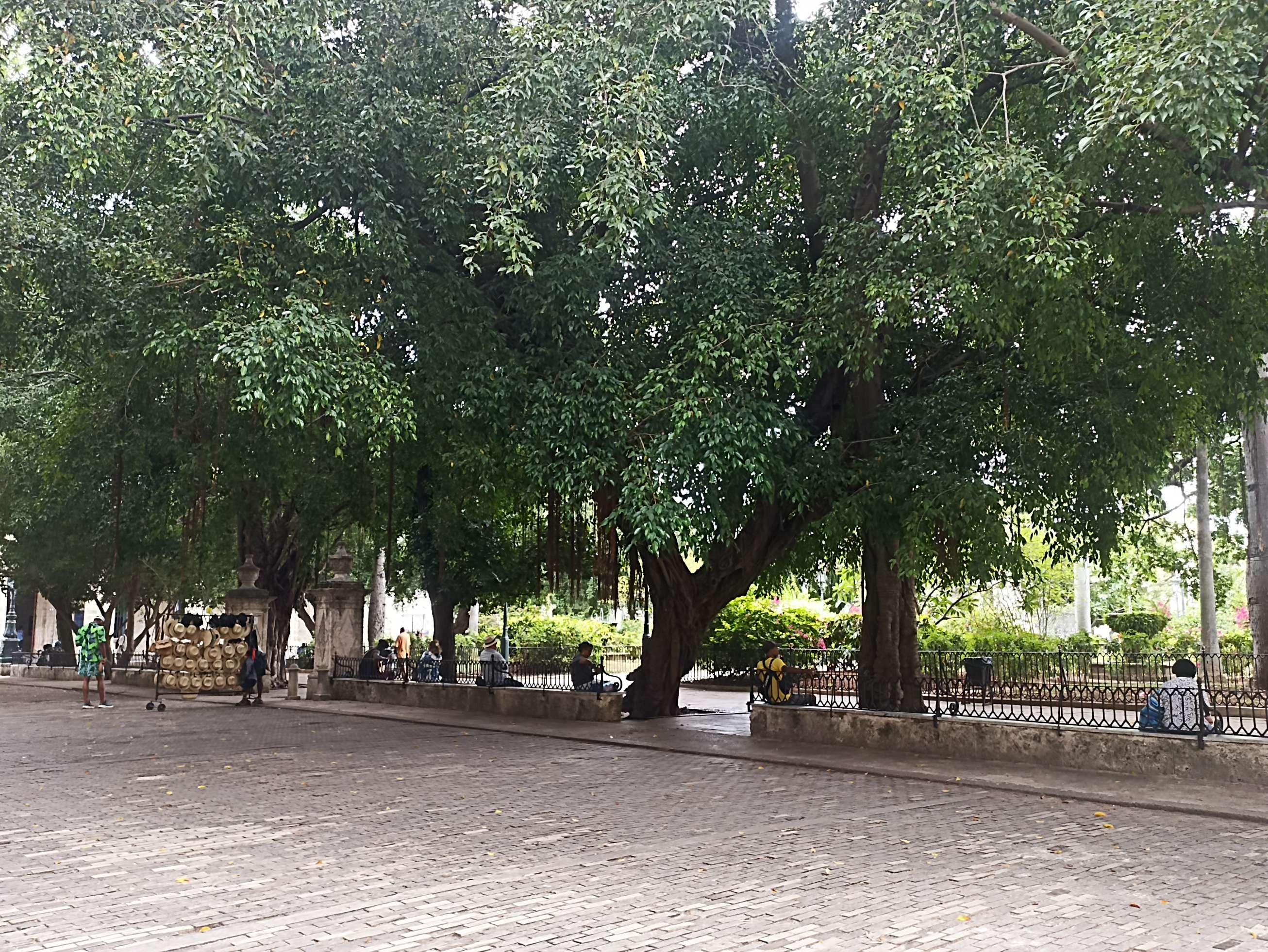 7b (2).jpg