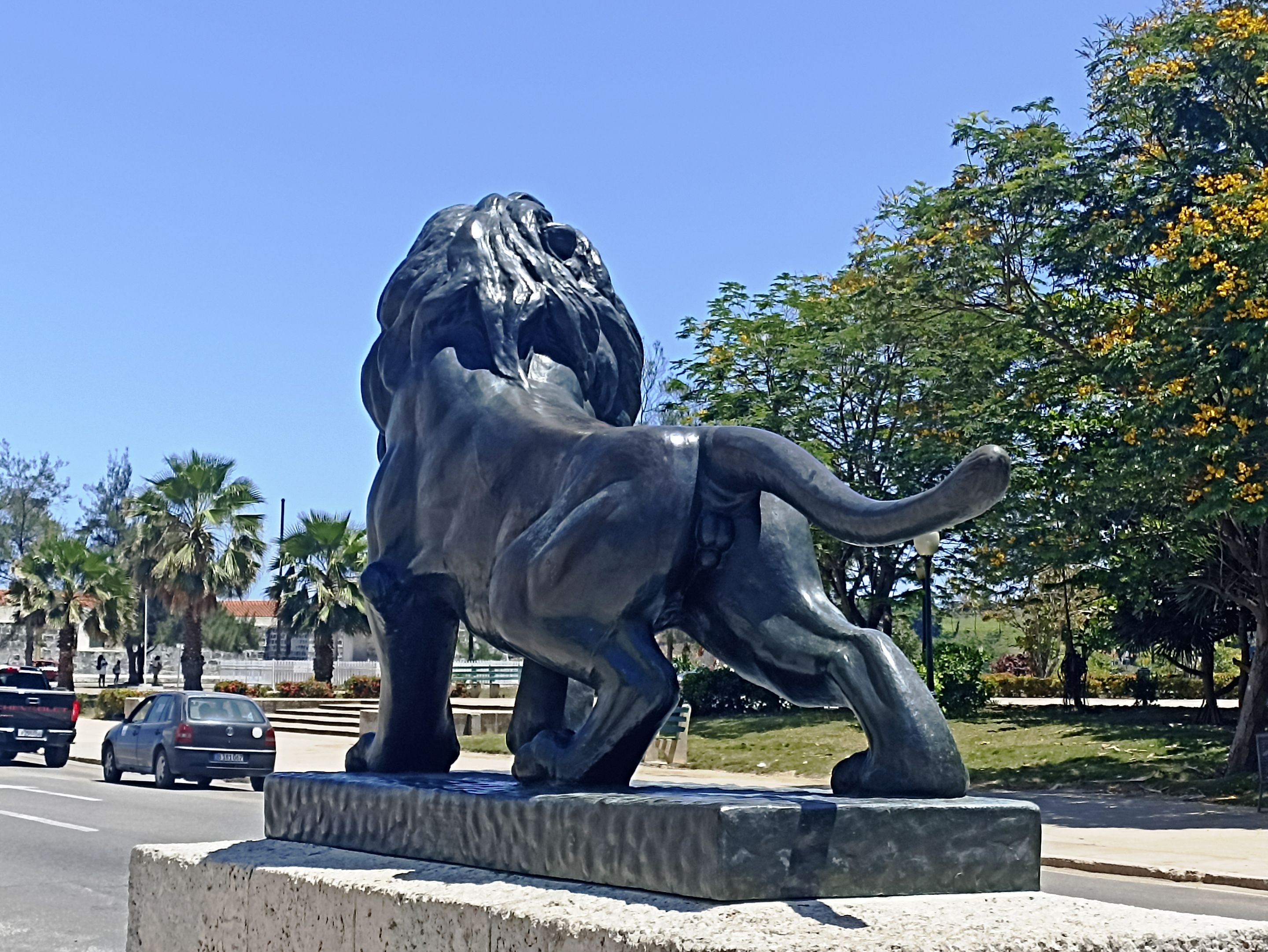 1a leones2.jpg