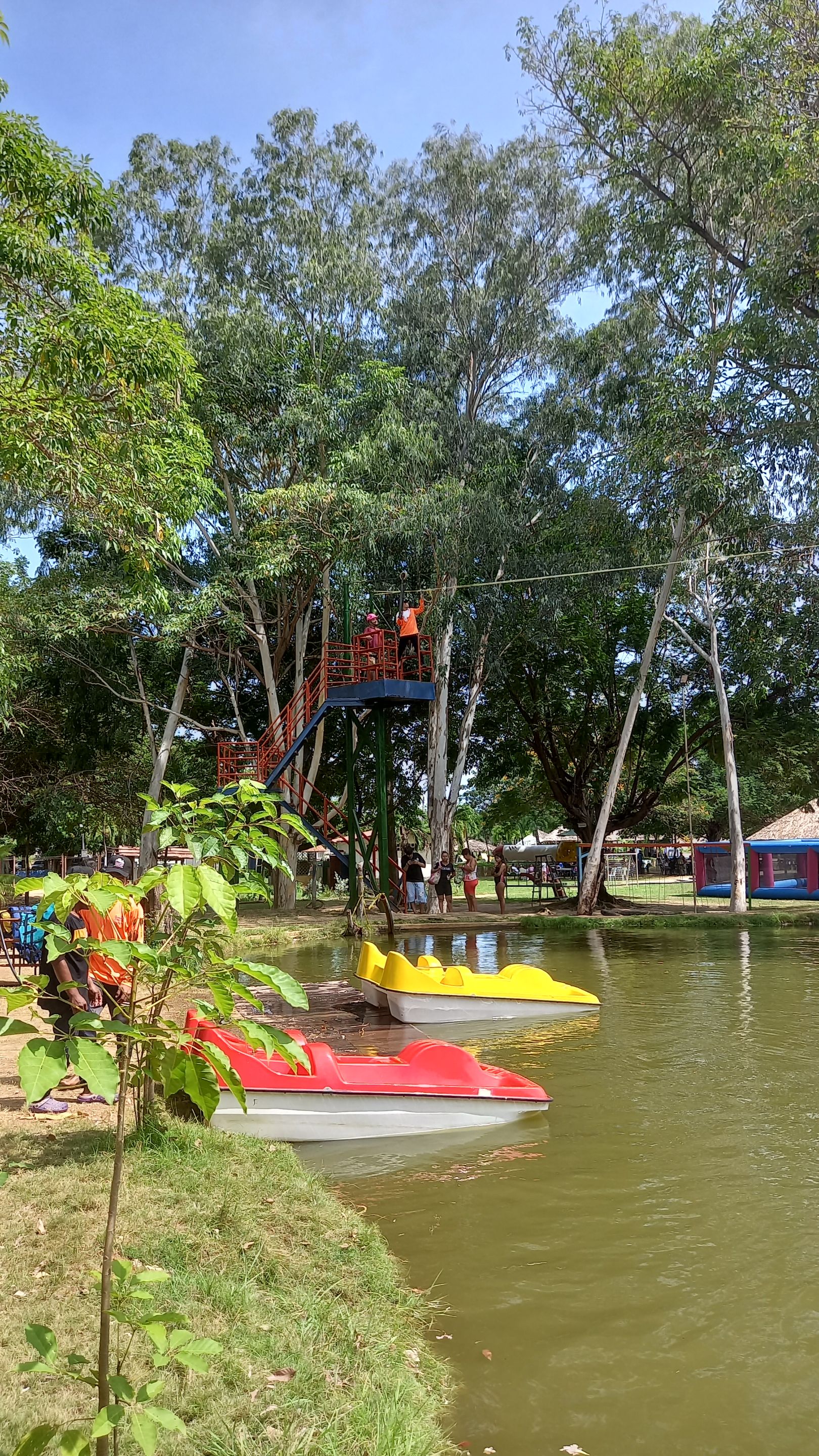 20250927_142223.jpg