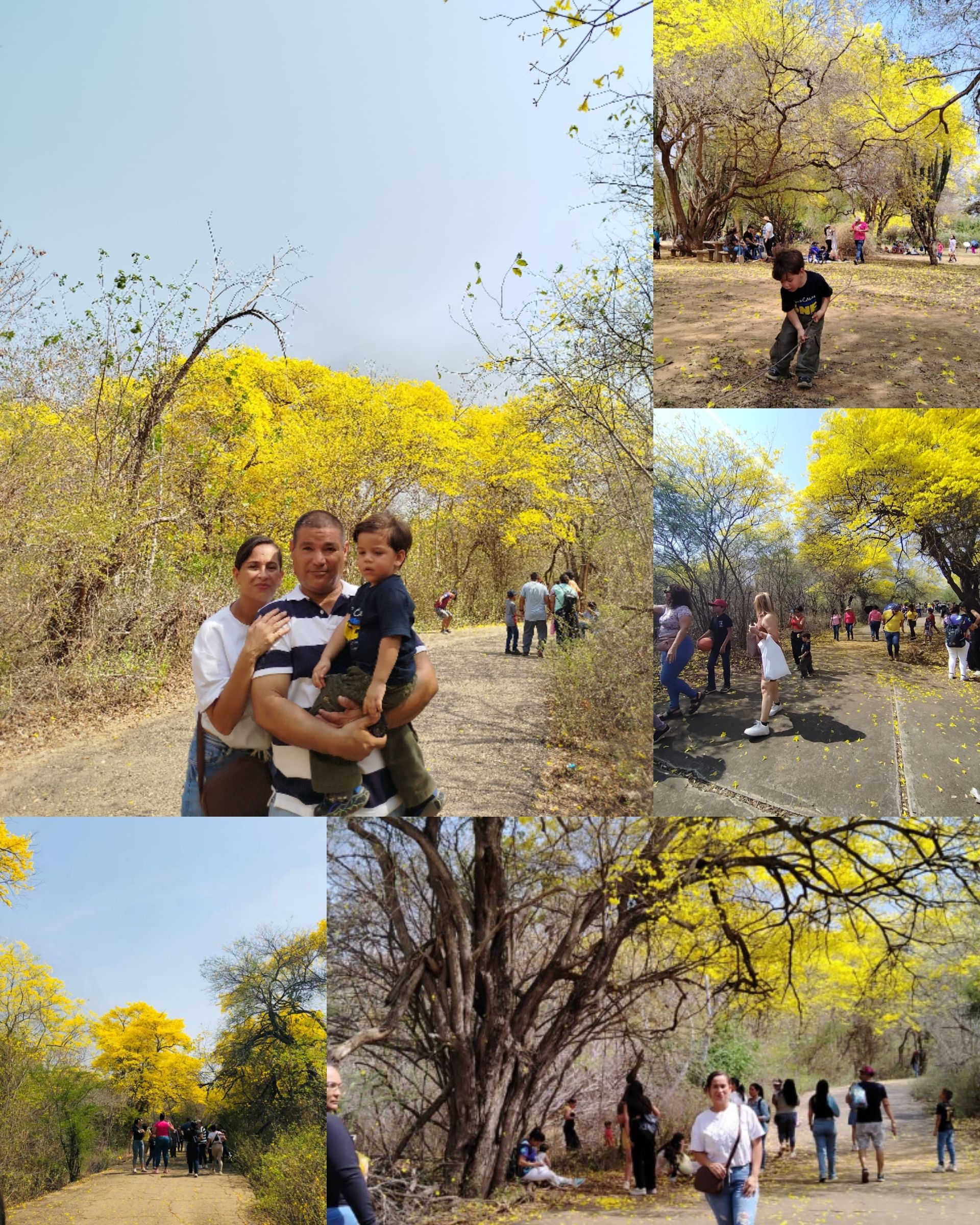 Live Collage_202543174414432.jpg