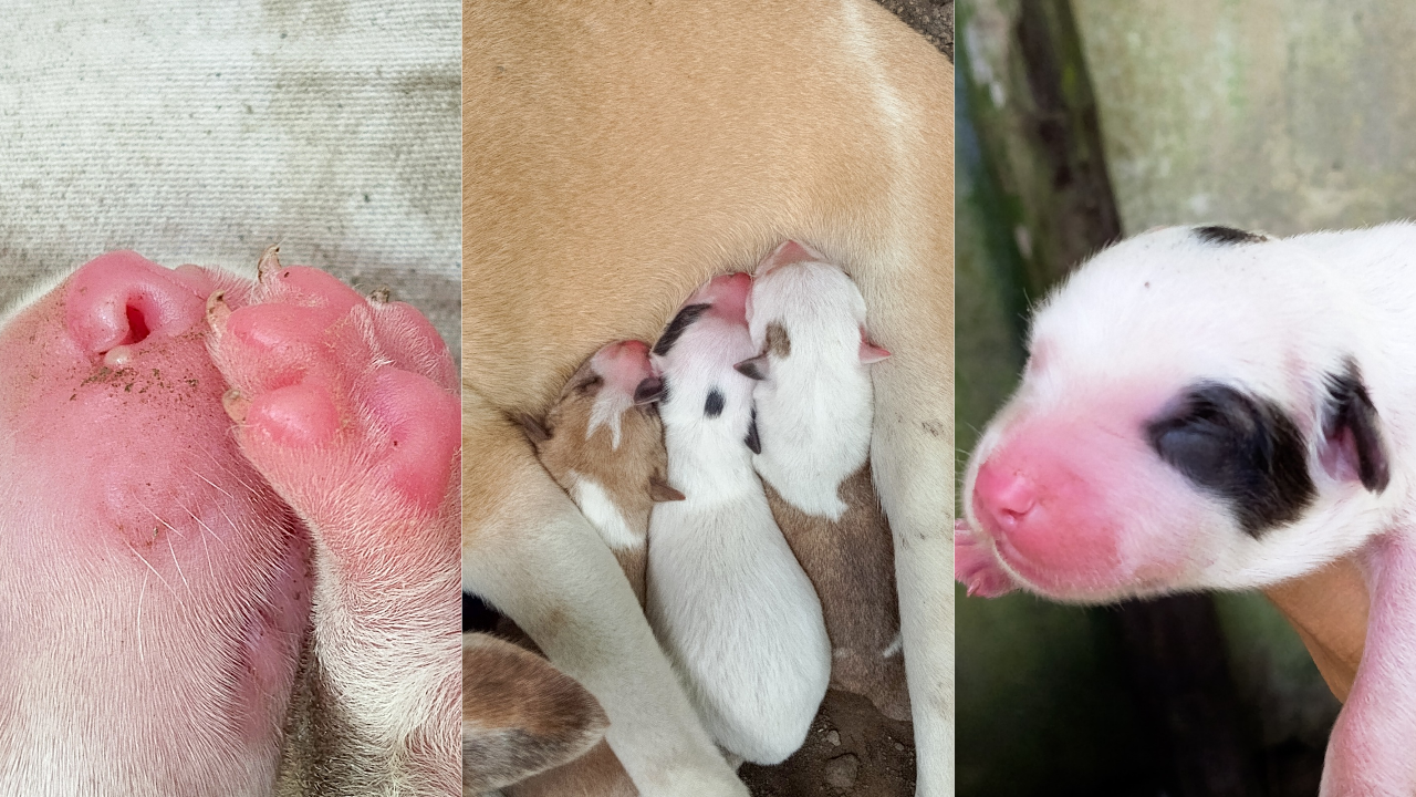 Yellow and Blue Illustrative Photo Collage Scrapbook Style Travel Vlog YouT_20251027_122729_0000.png