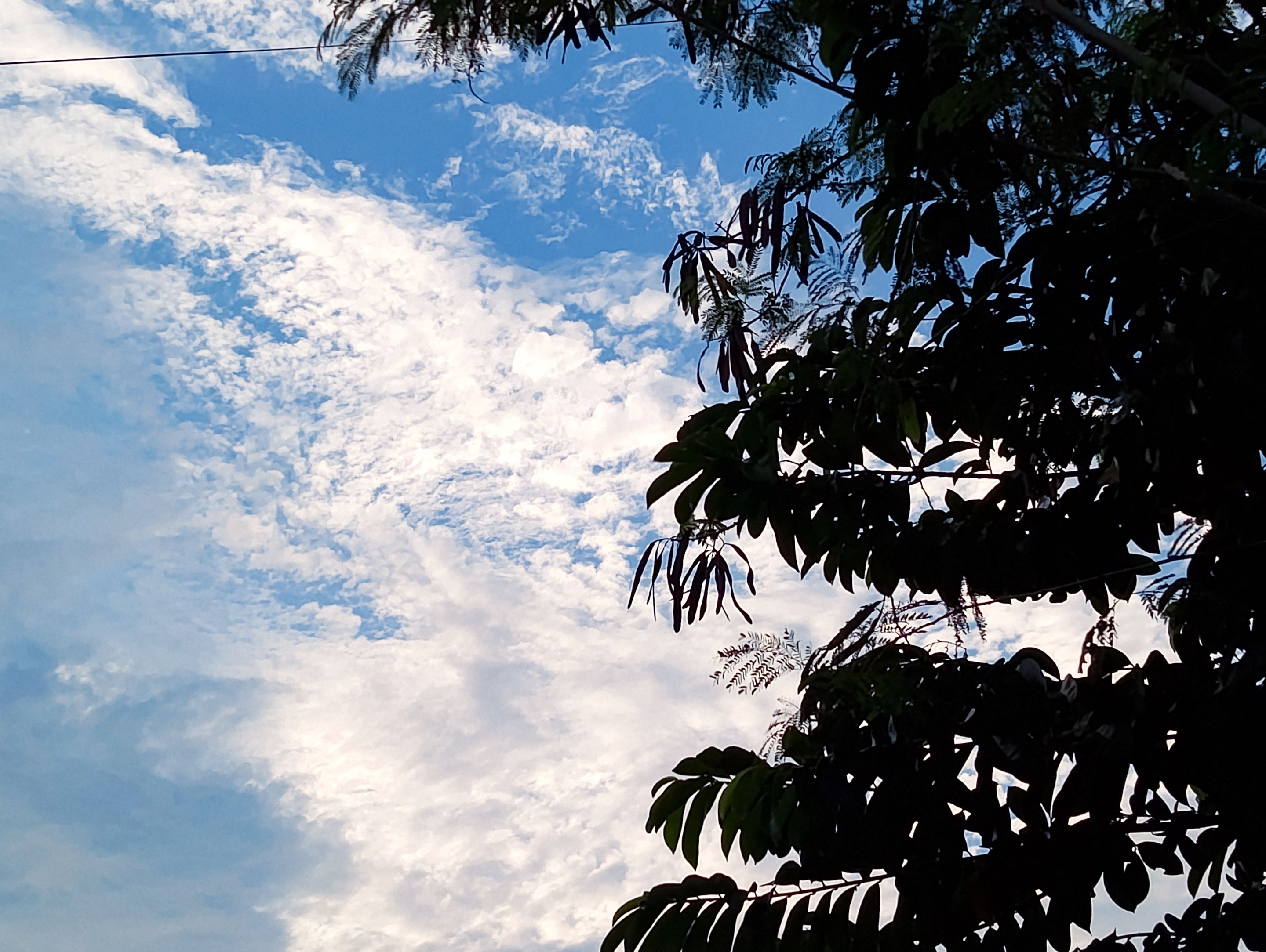 IMG_20251001_164853_565.jpg