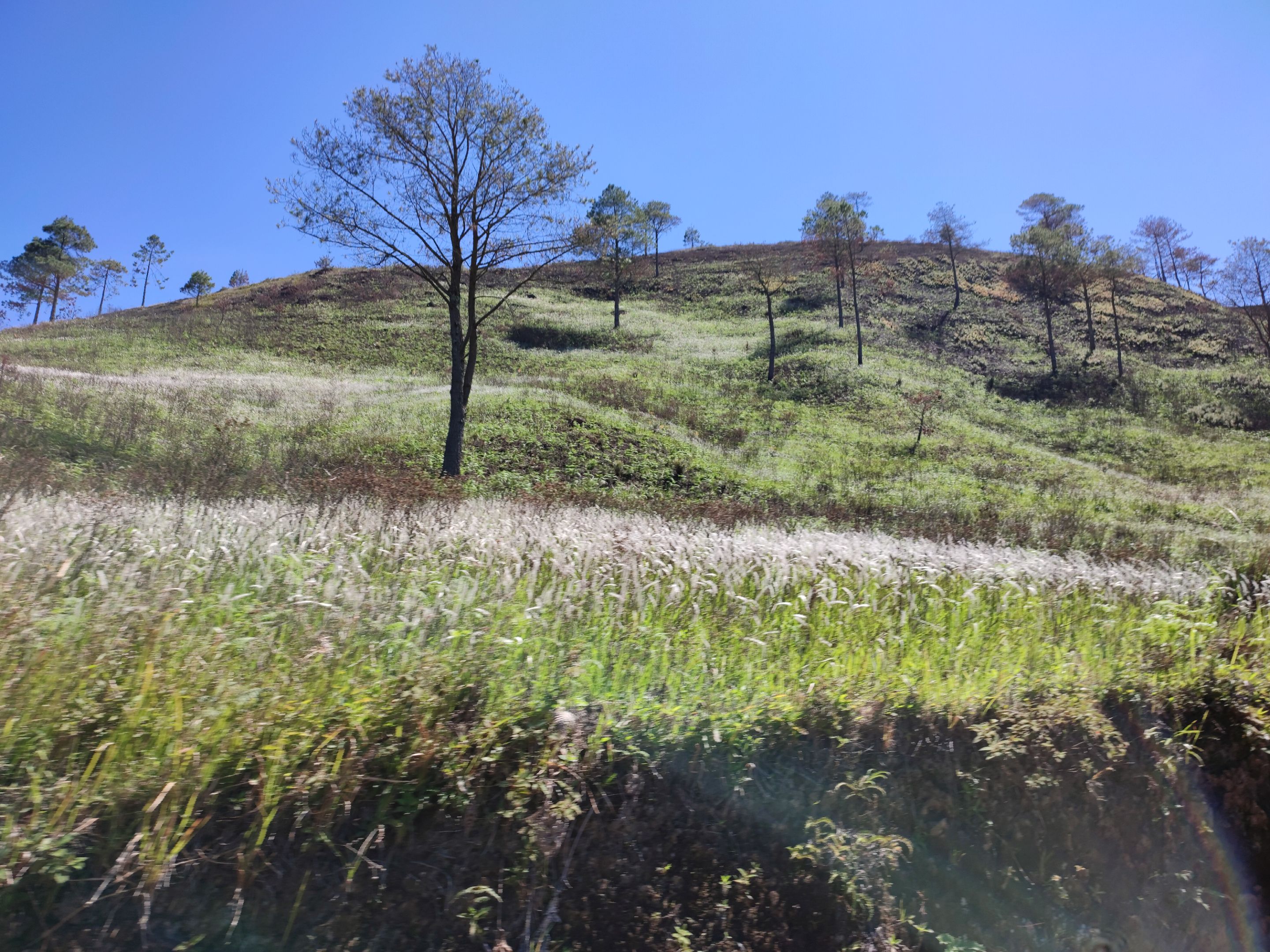 IMG_20211003_101916.jpg