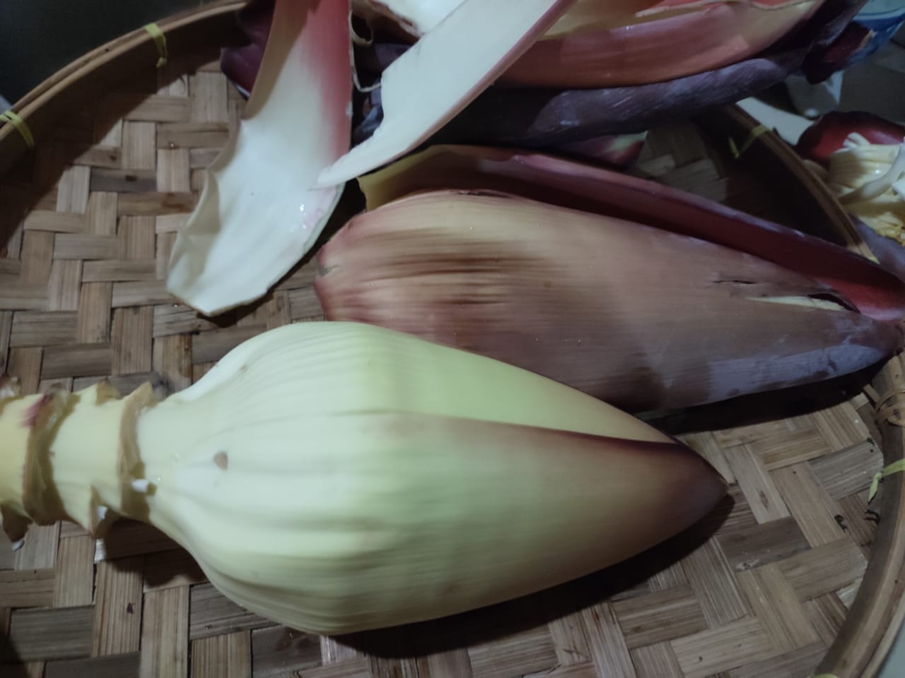Eokbain2WZyATGvZQbc6ycMjJxwxRBChZmEJPVYS8XbbZEWWoboy9fzuZSLpJXeHcJT.jpeg