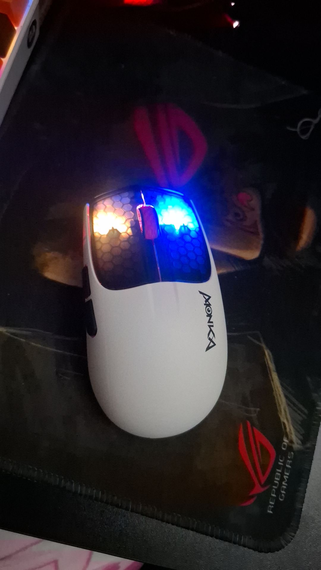 1000324847.jpg