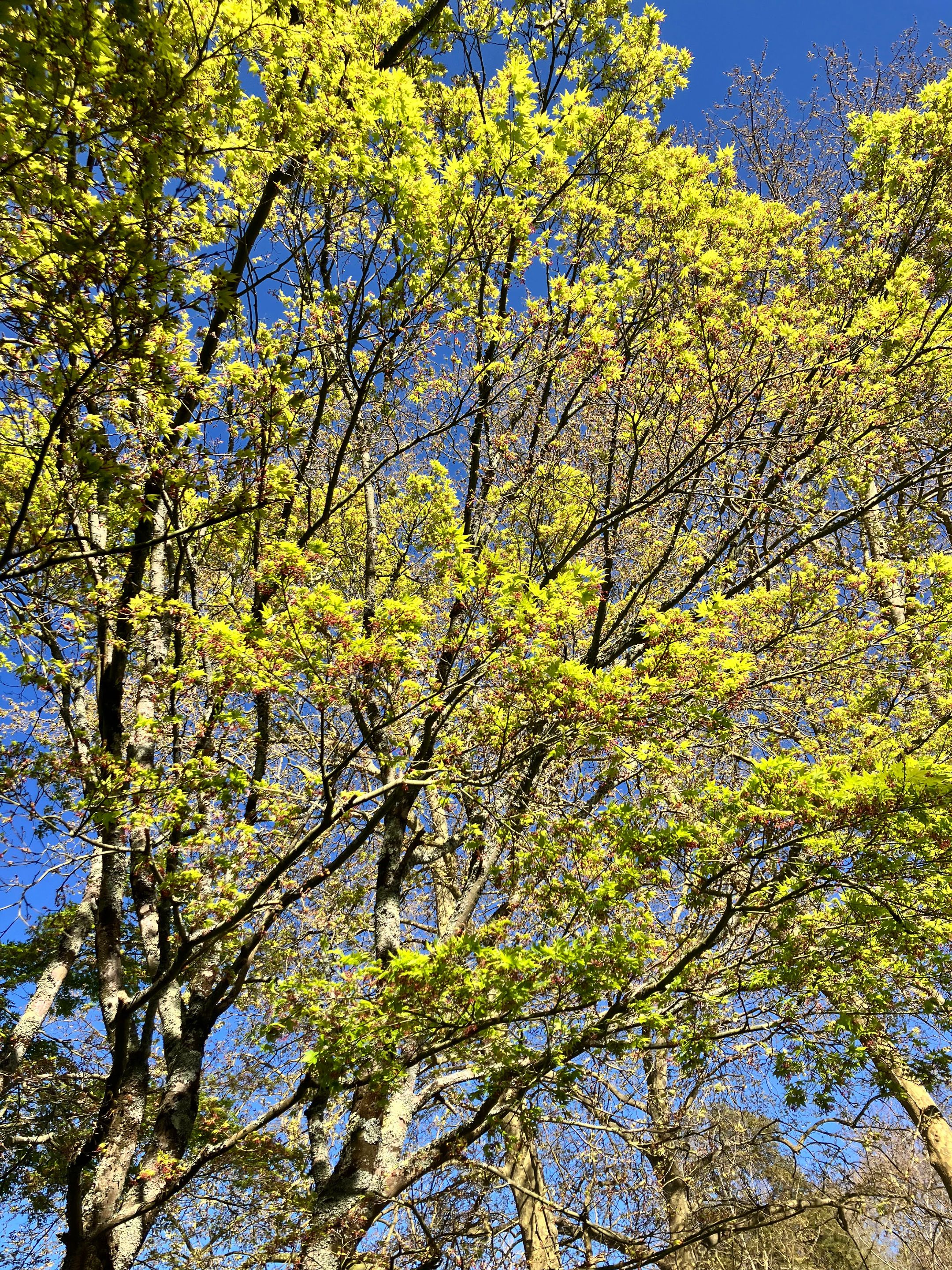 IMG_8037.jpg