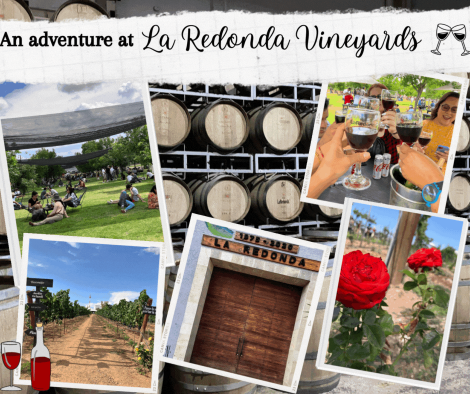 An adventure at La Redonda Vineyards.gif