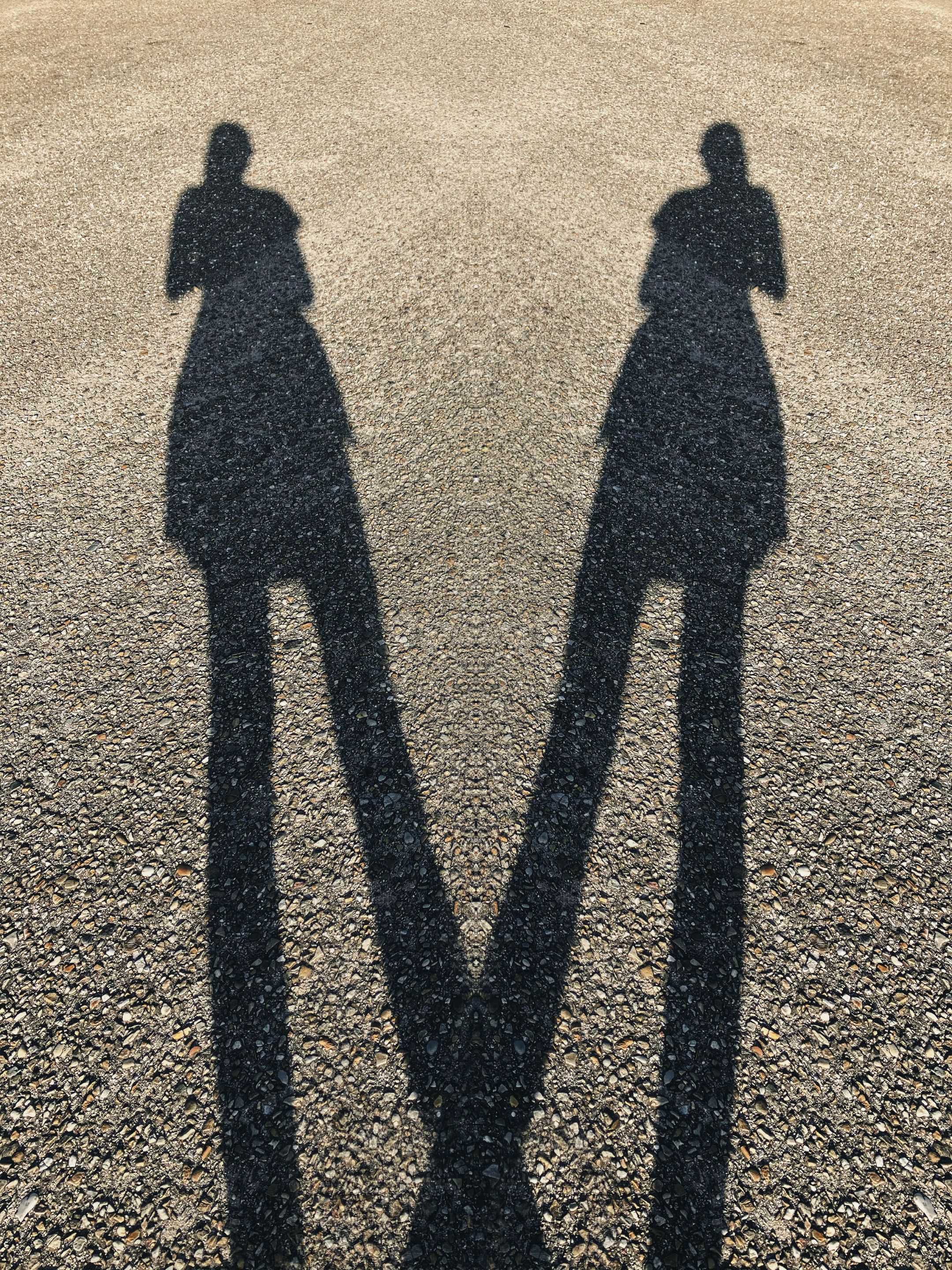 IMG_2746.png