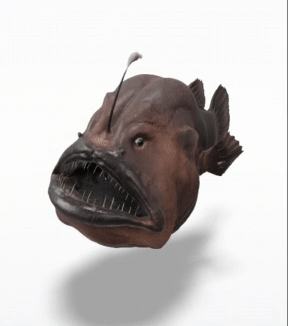 anglerfish 1.gif