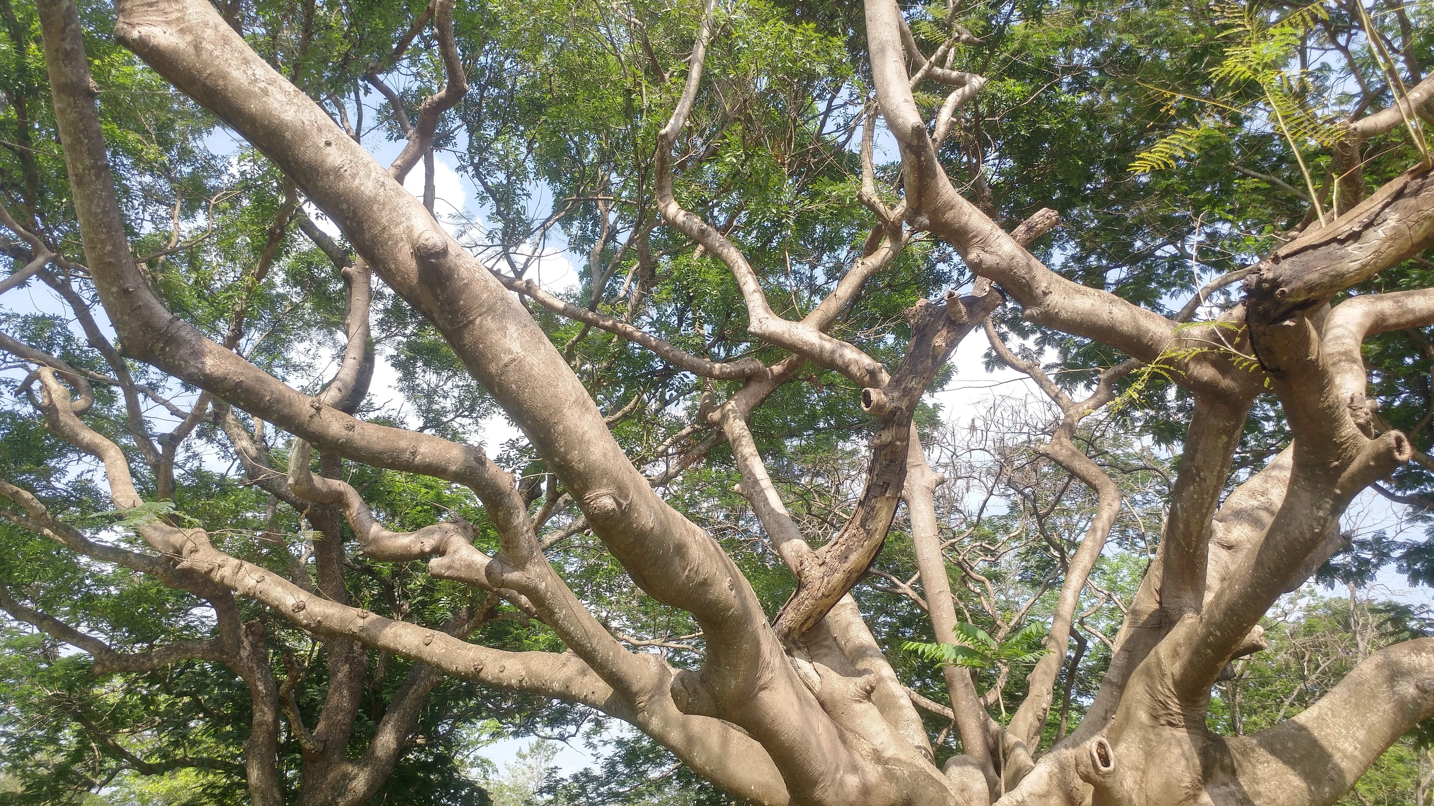 0321181505a_HDR.jpg