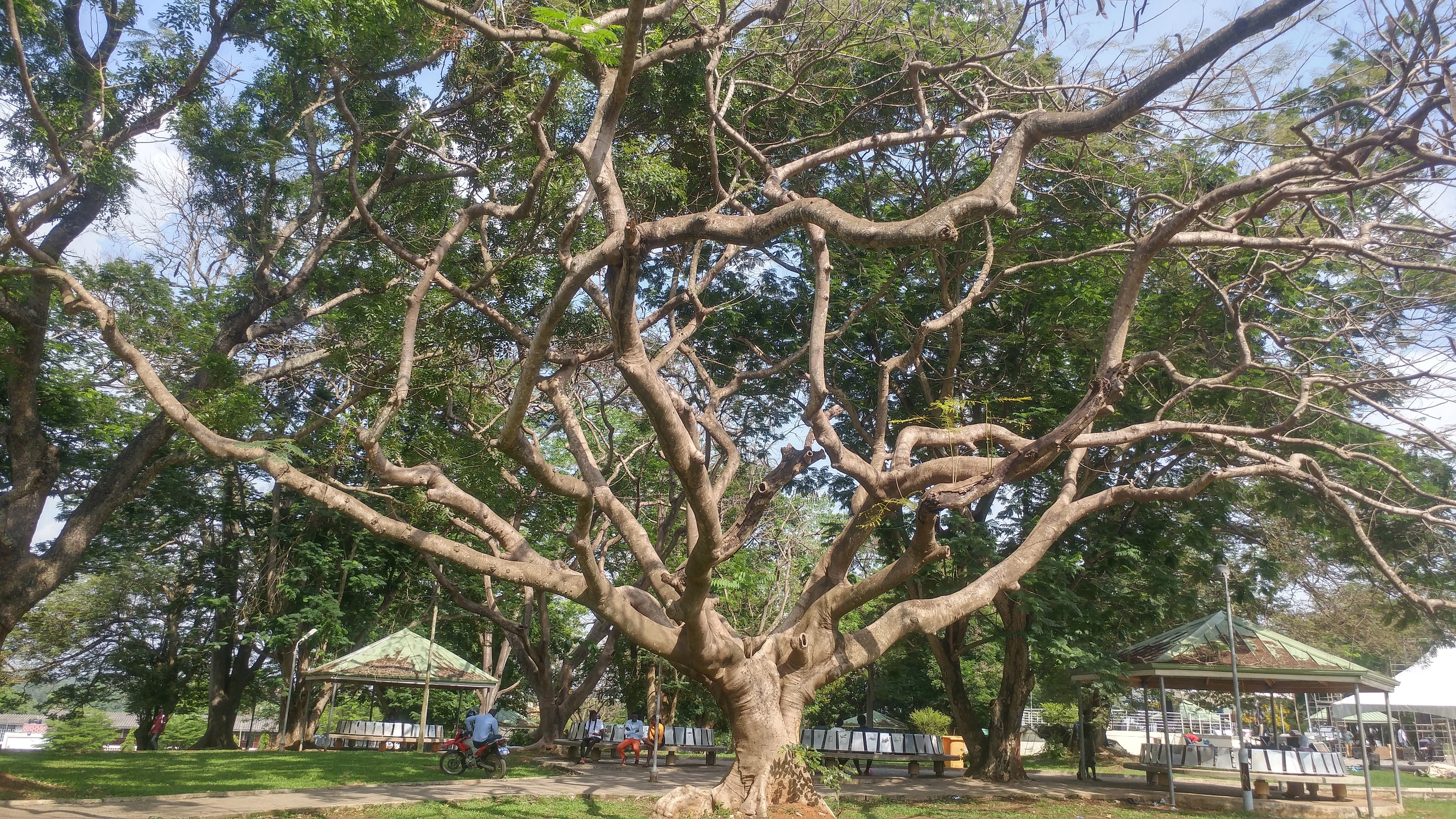 0321181505_HDR.jpg