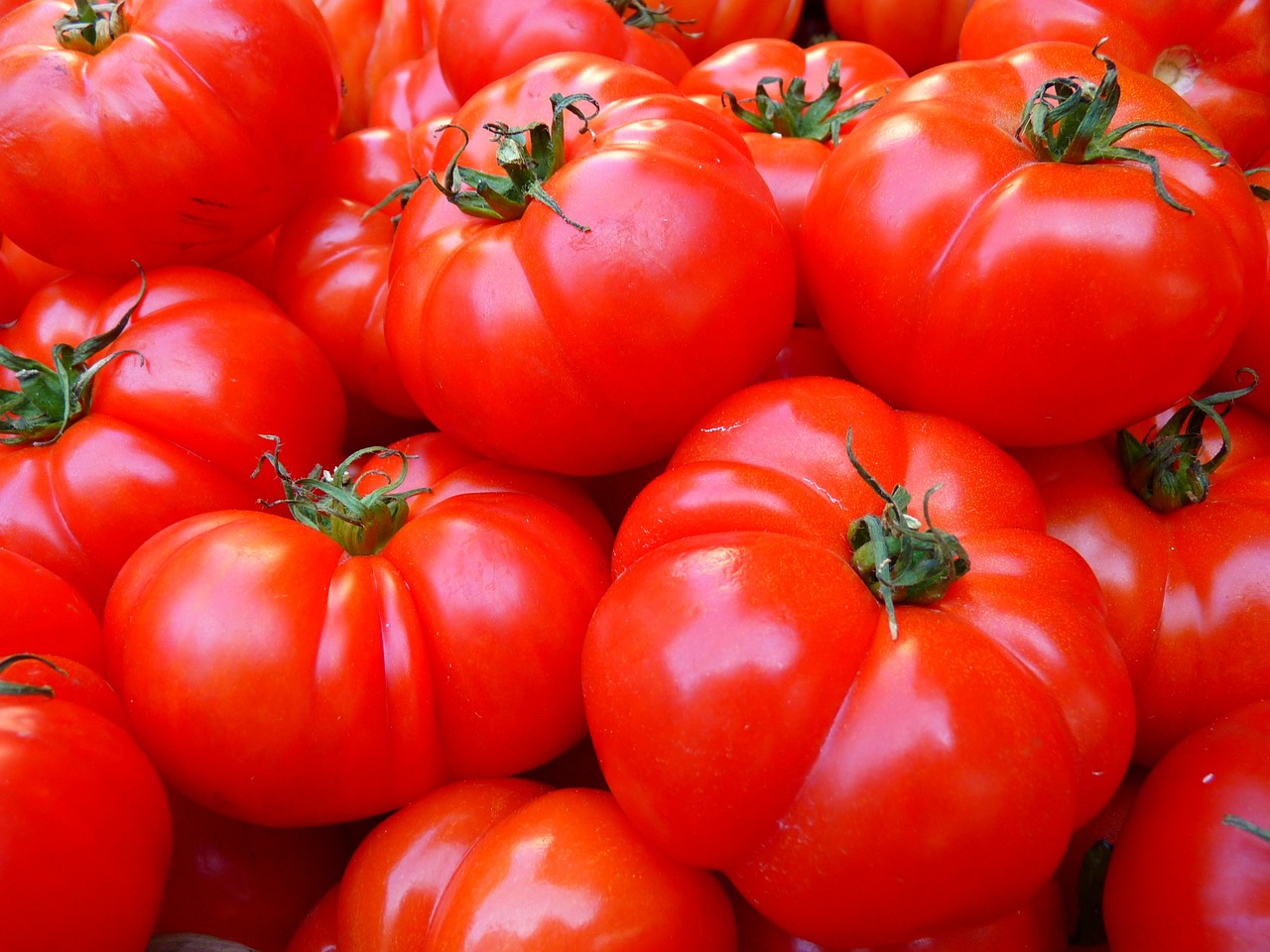 tomatoes5356_1280.jpg