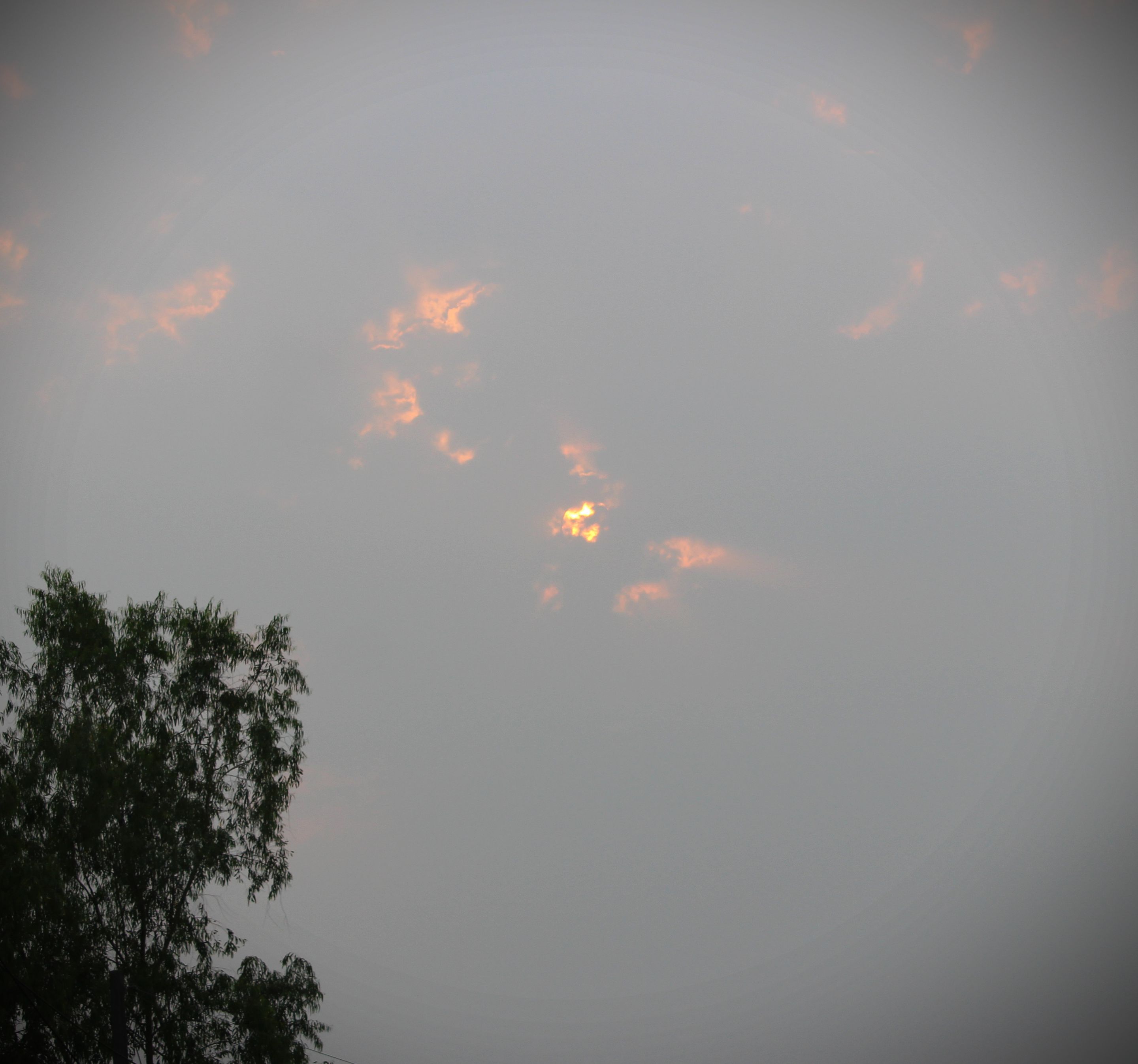 IMG_20210501_133807.jpg