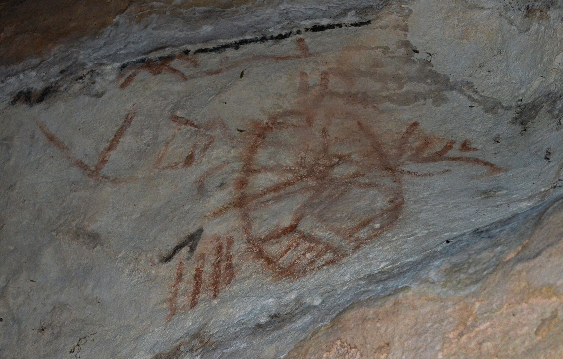 picto4.jpg