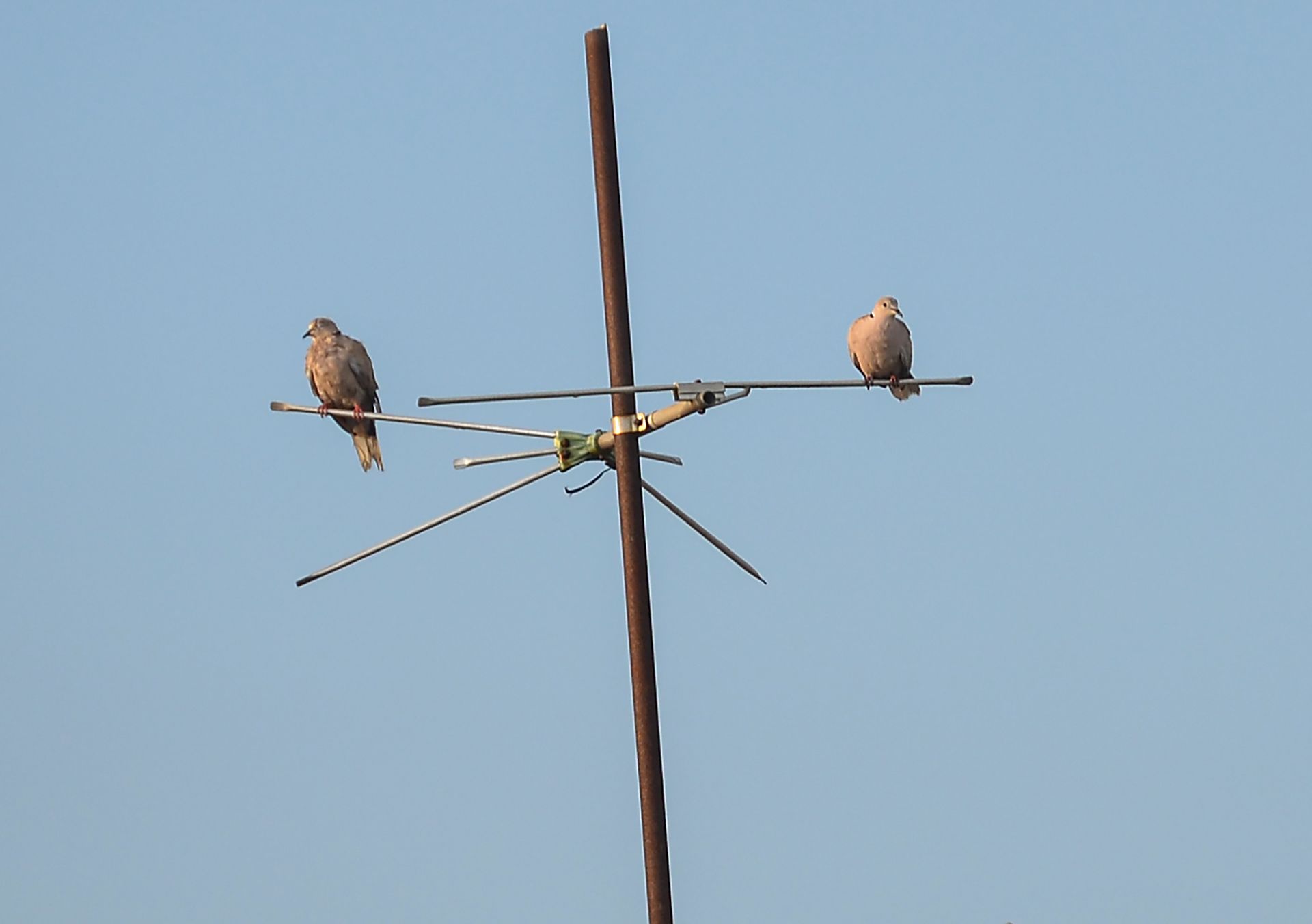 antena.jpg