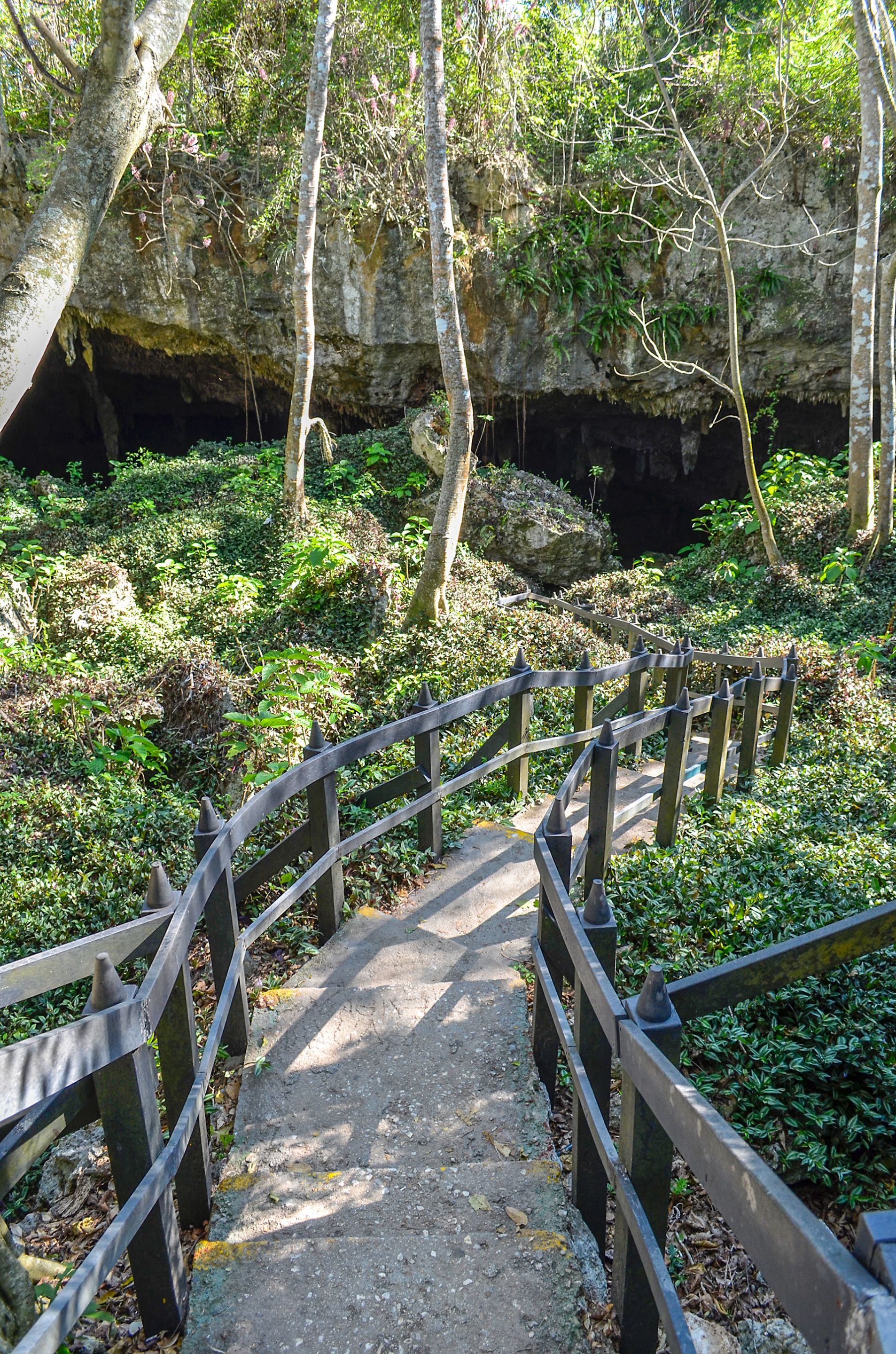 escalera 1.jpg