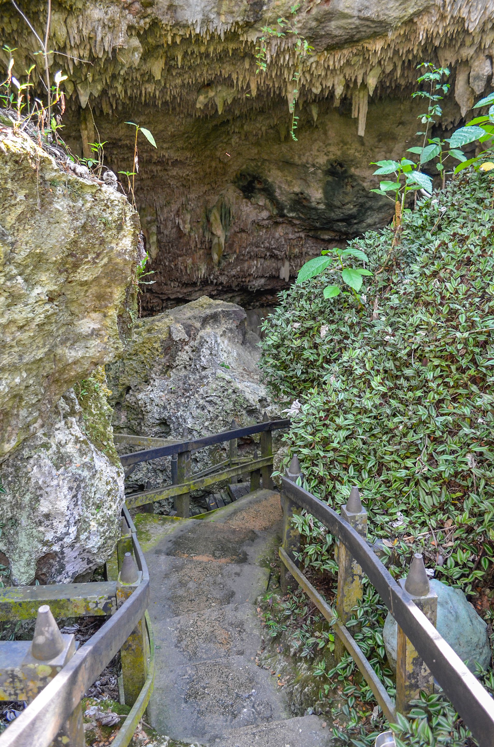 escalera2.jpg