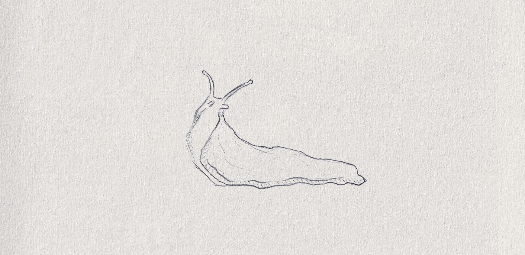 53-1 slug.png